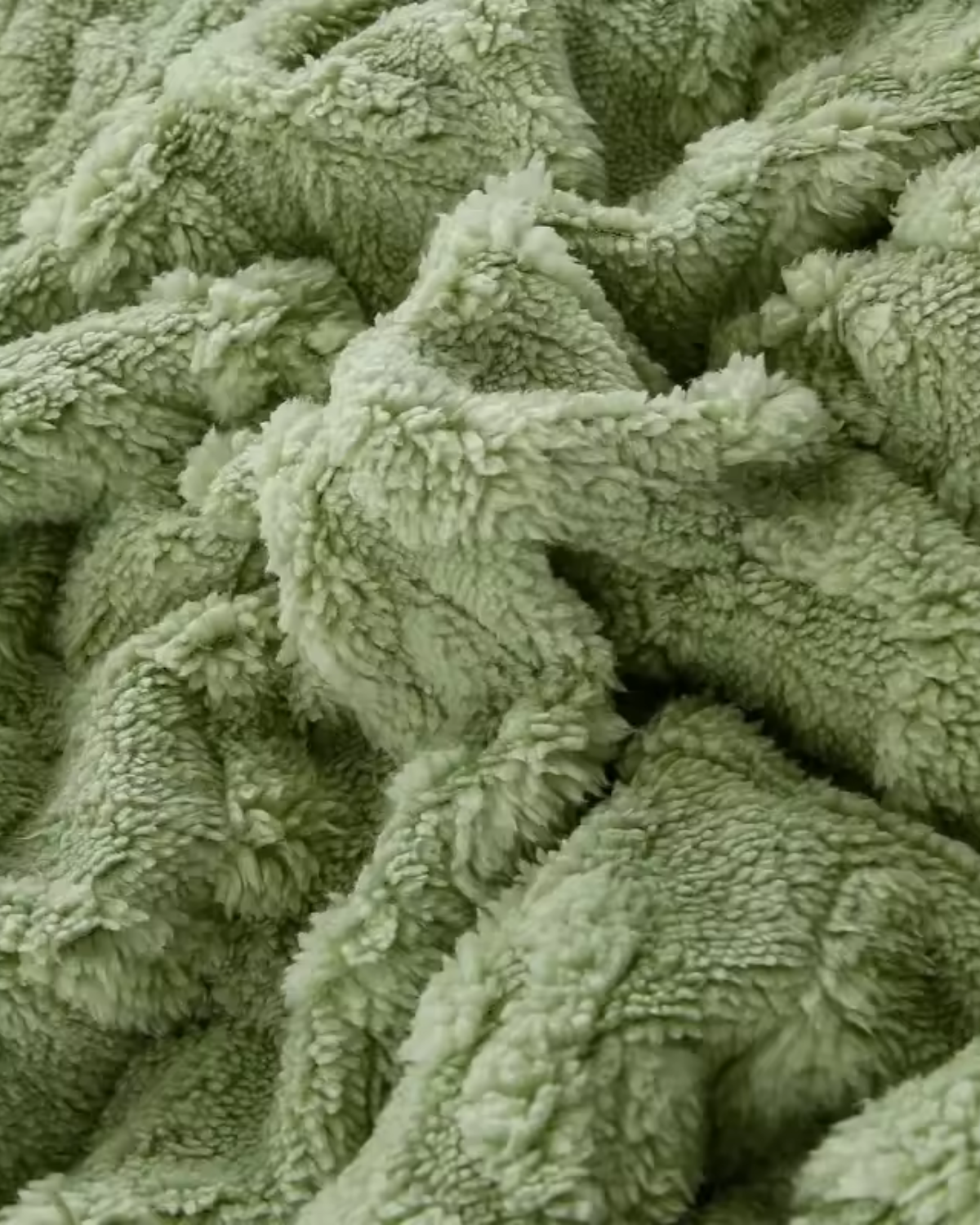 #color_matcha green