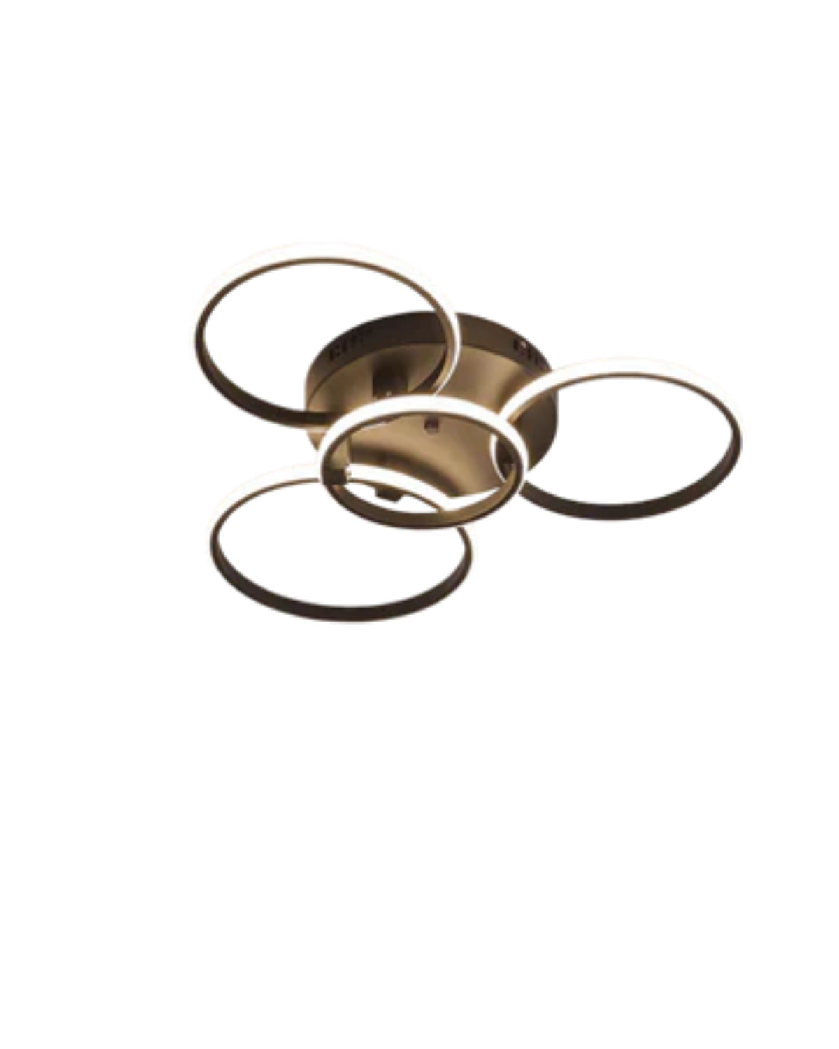 Le Cercle Éternel