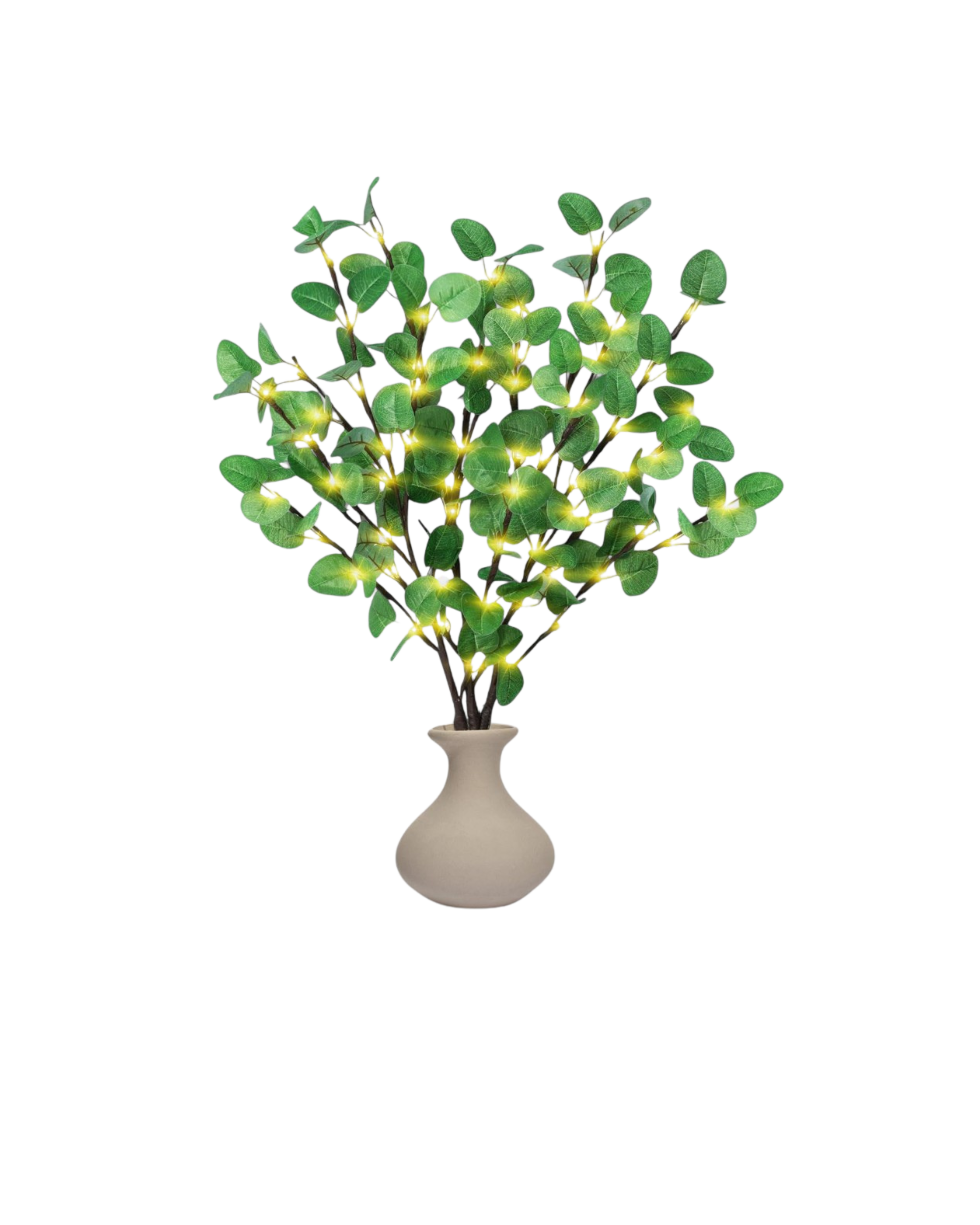 La Lumière Florale