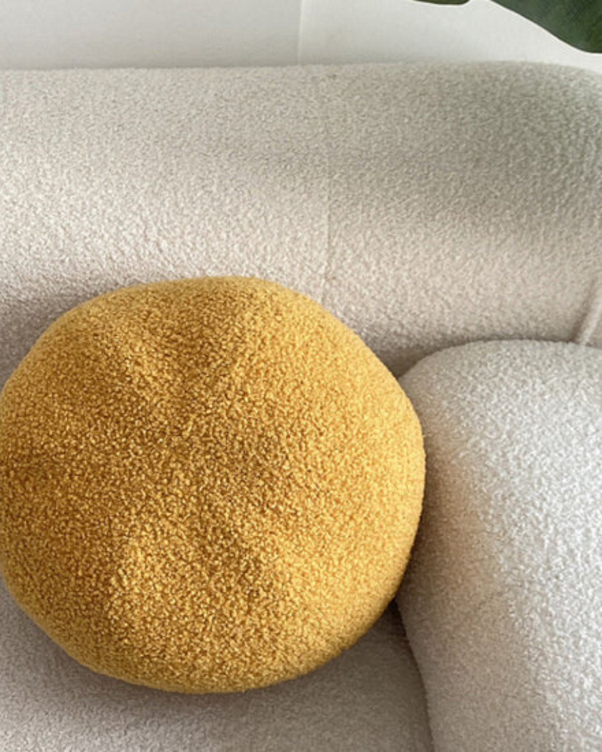 #cover color_mustard yellow