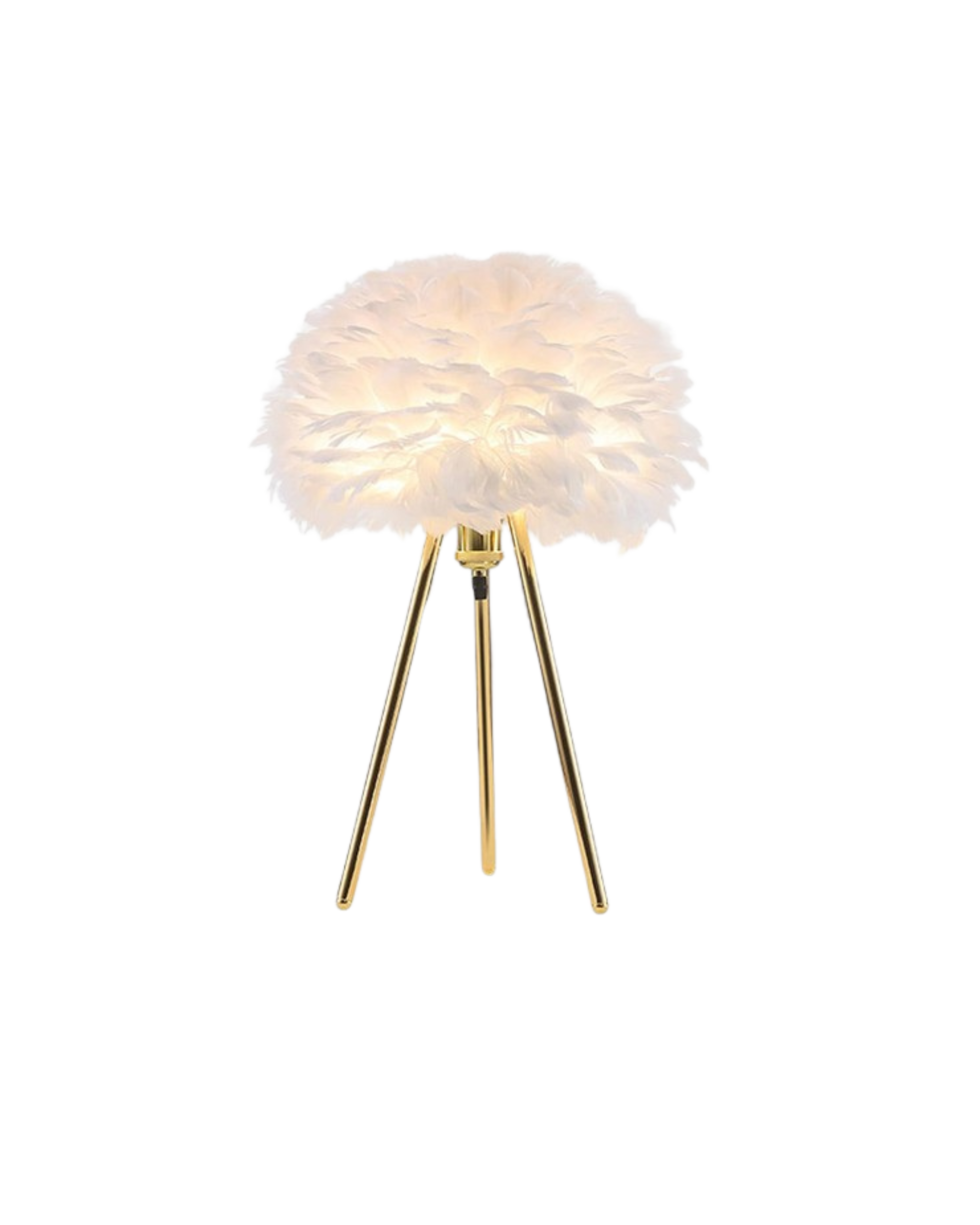 Lumière de Plume