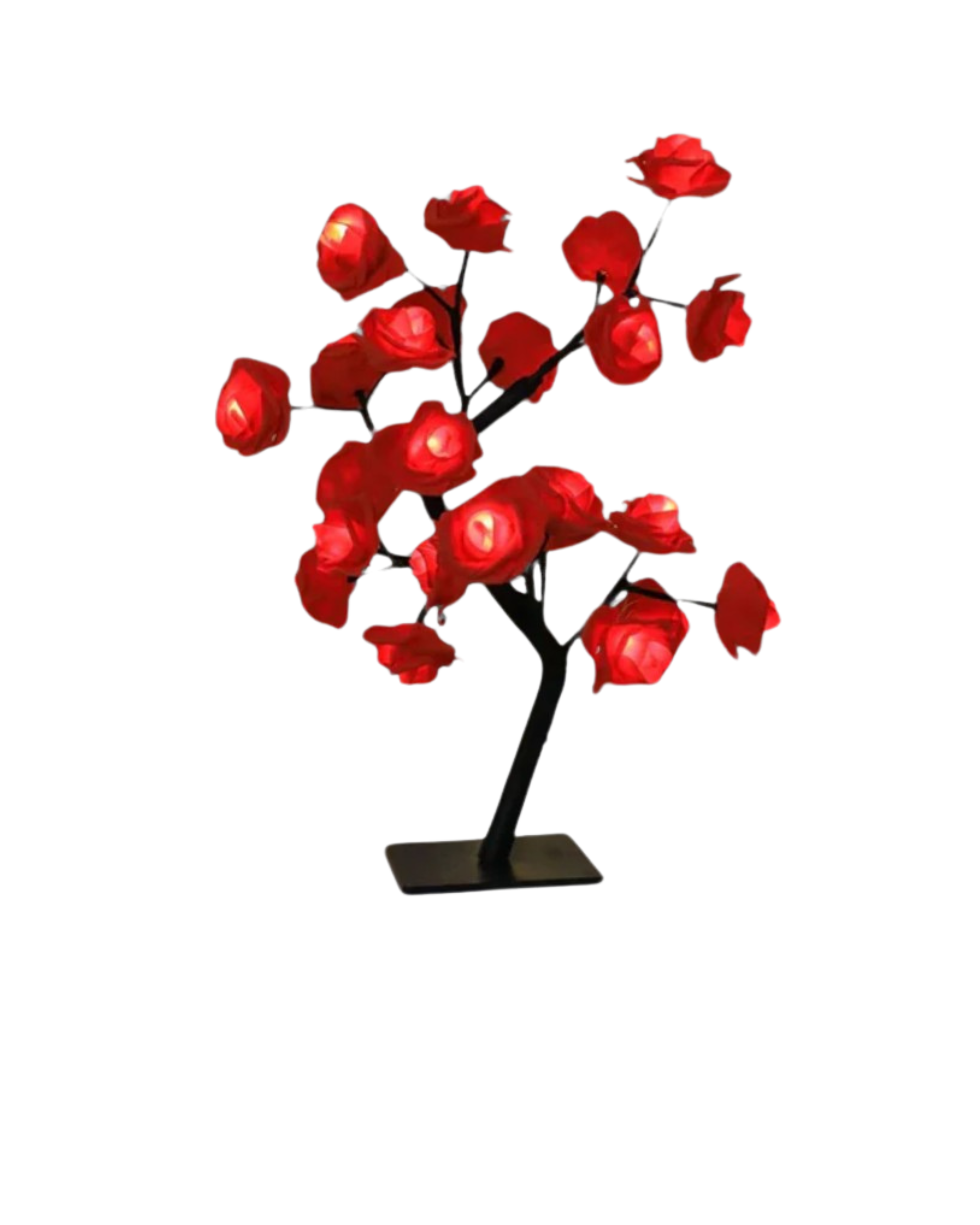 Le Rosier Lumineux