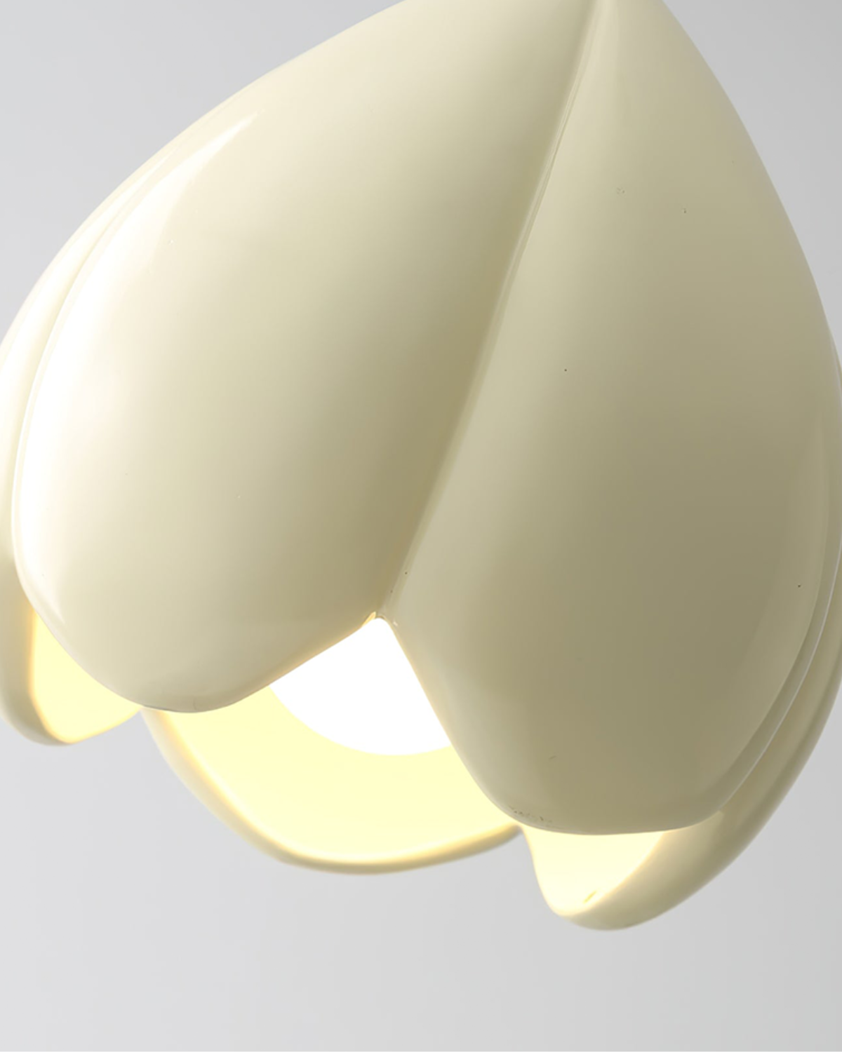 #color_white