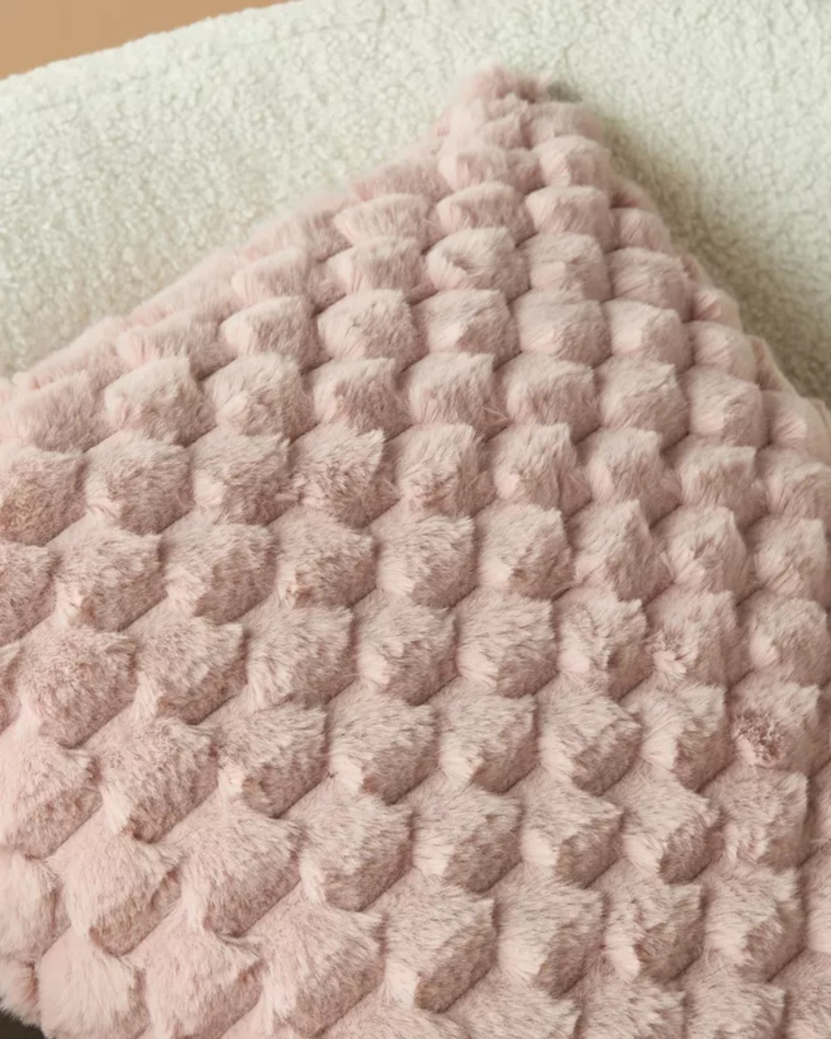 #cover color_pink