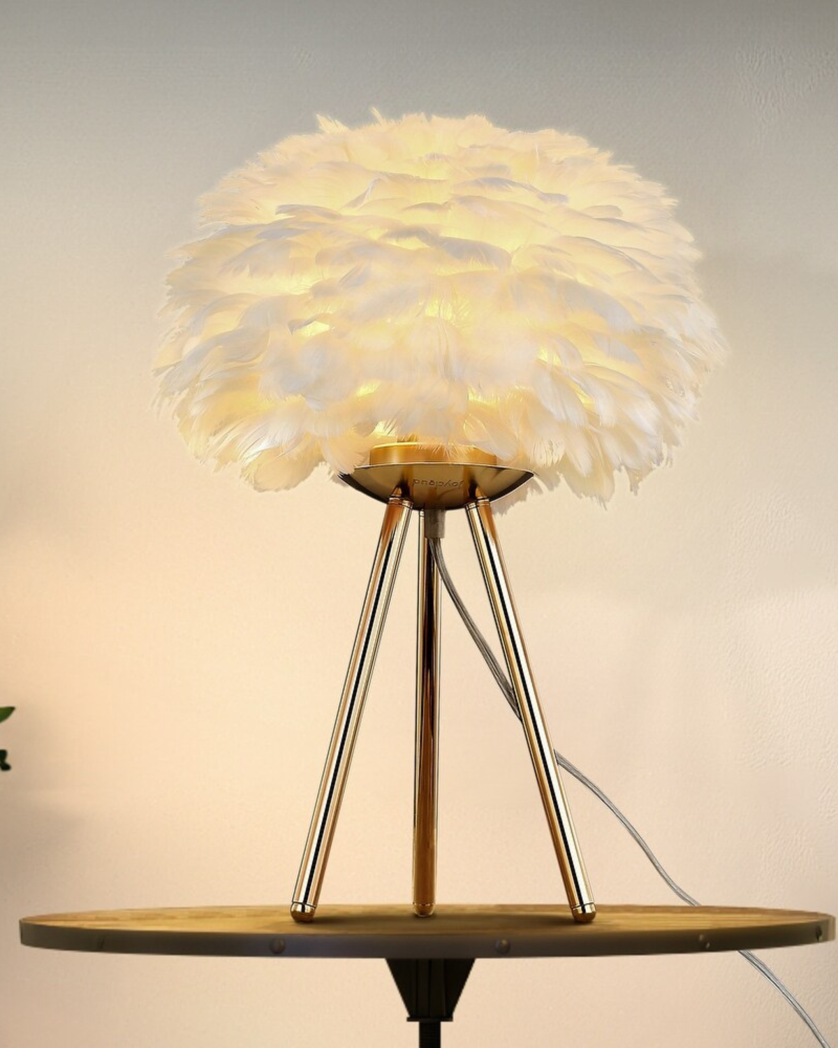 Lumière de Plume