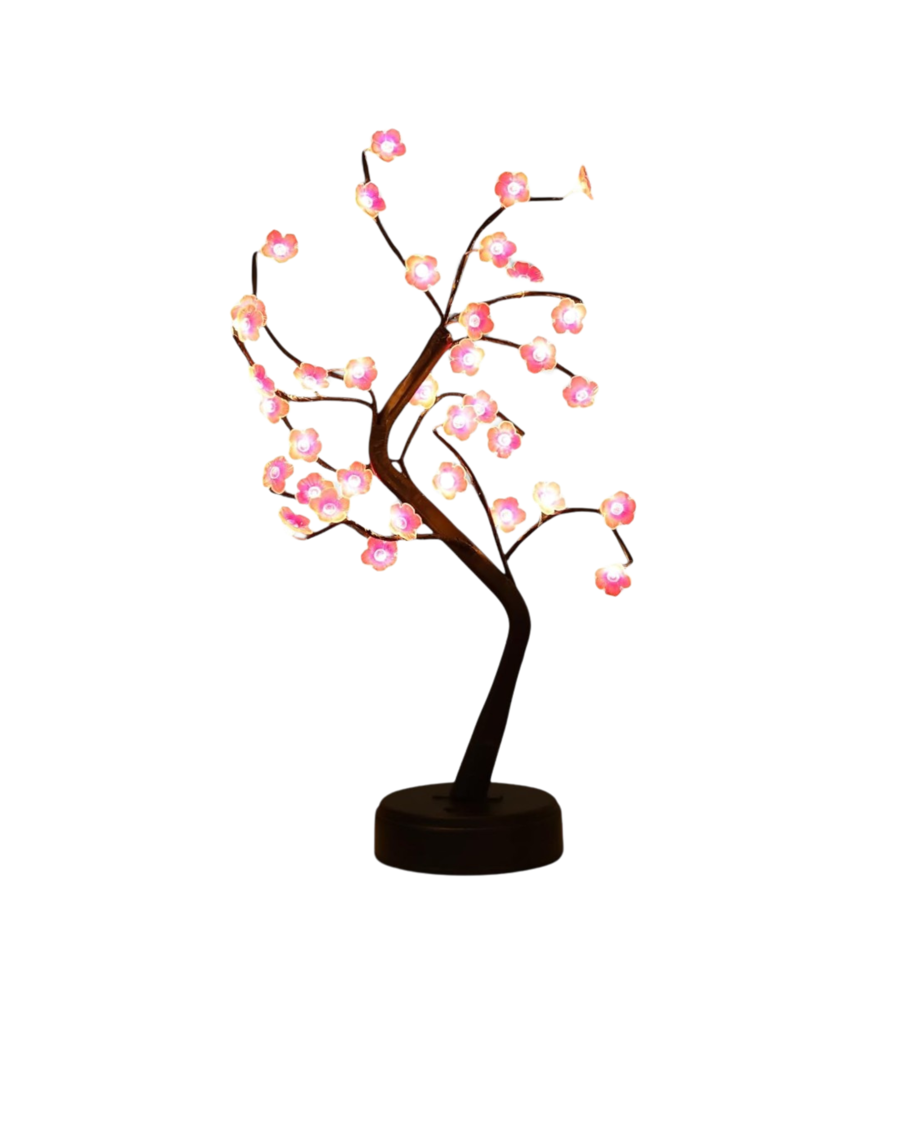 La Floraison