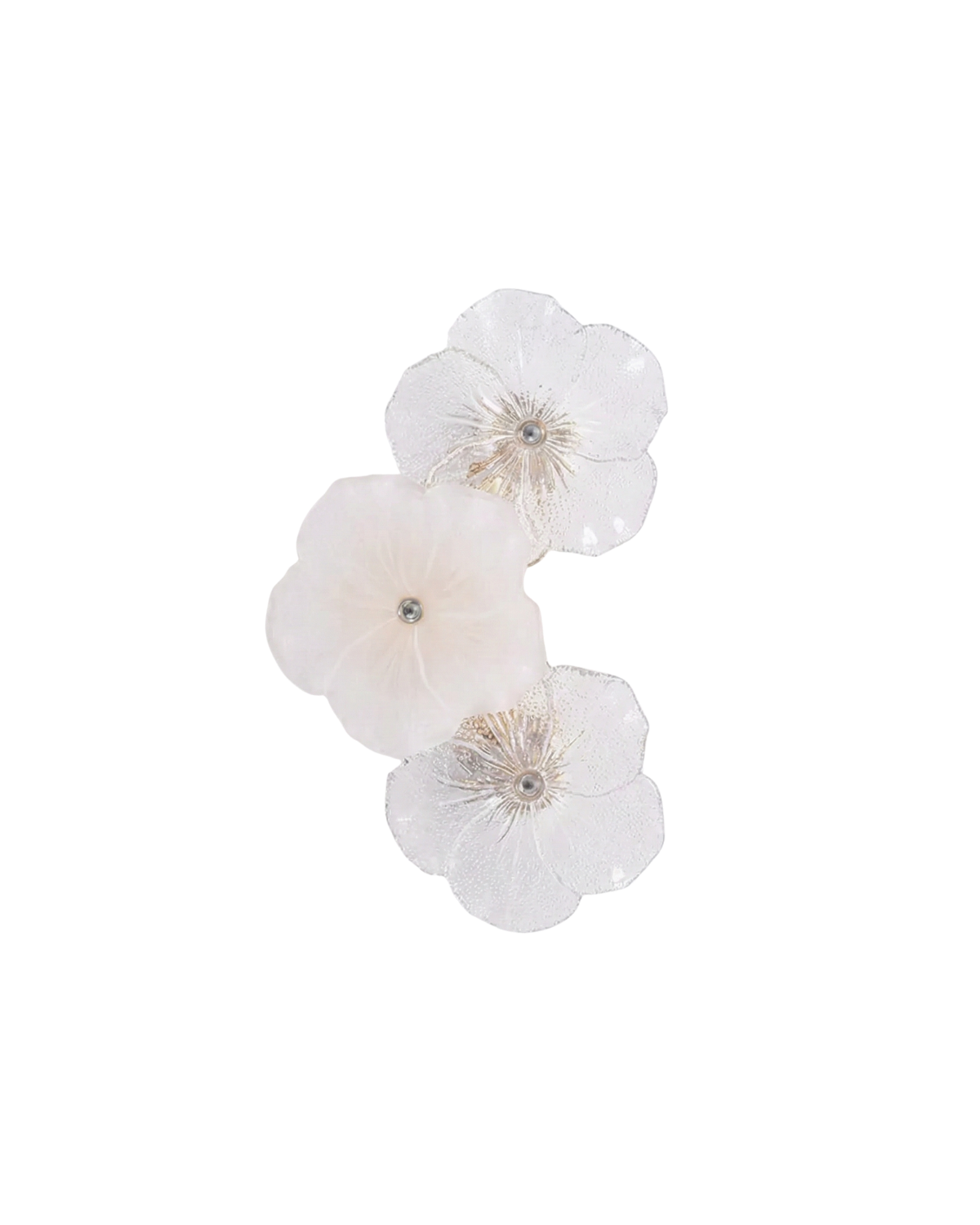 La Floraison Étoilée