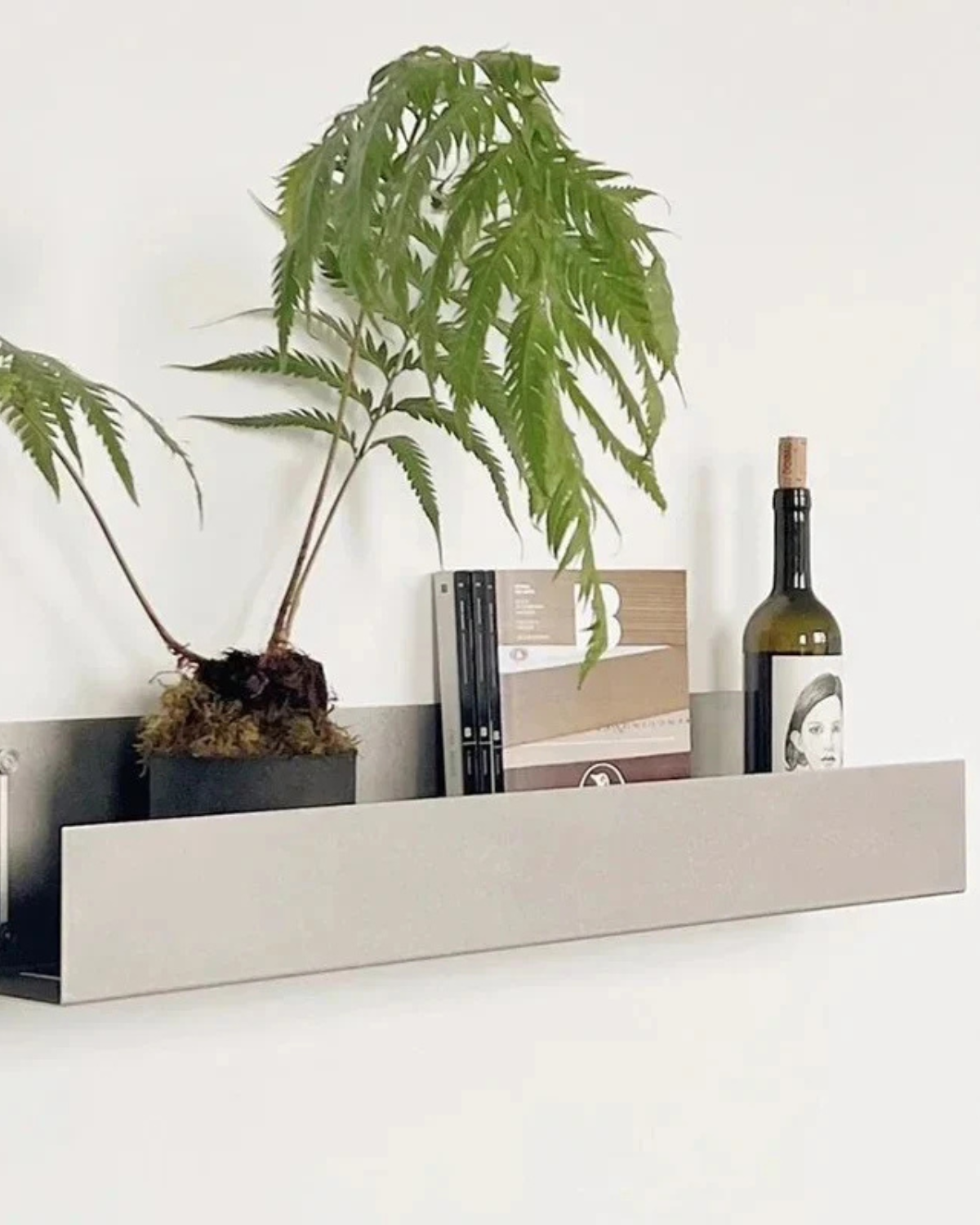 Serene Shelf