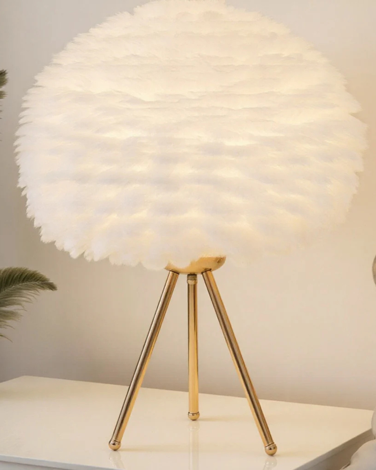 Lumière de Plume