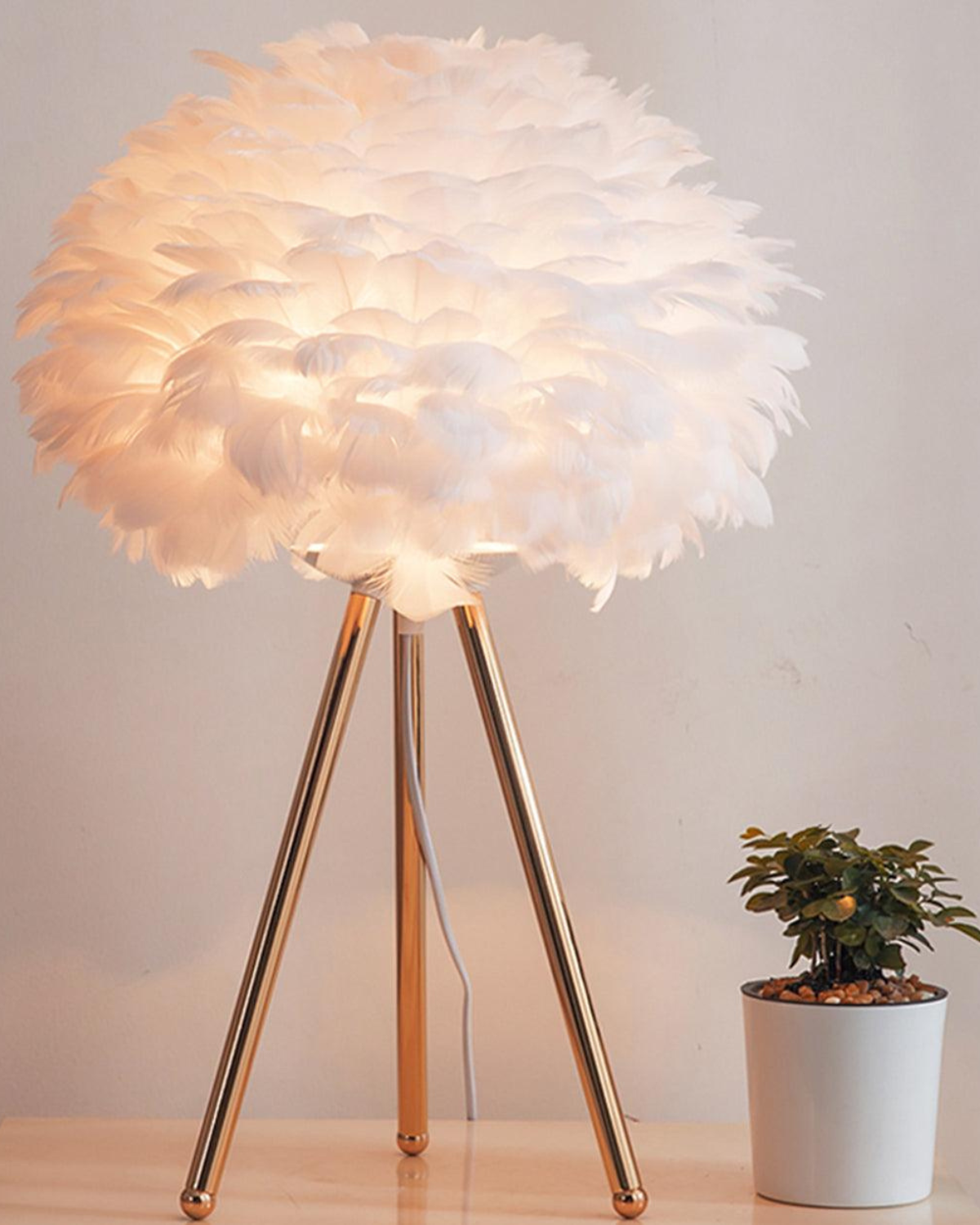 Lumière de Plume