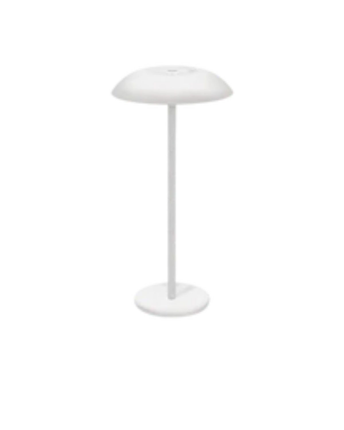 L’Ombre Champignon