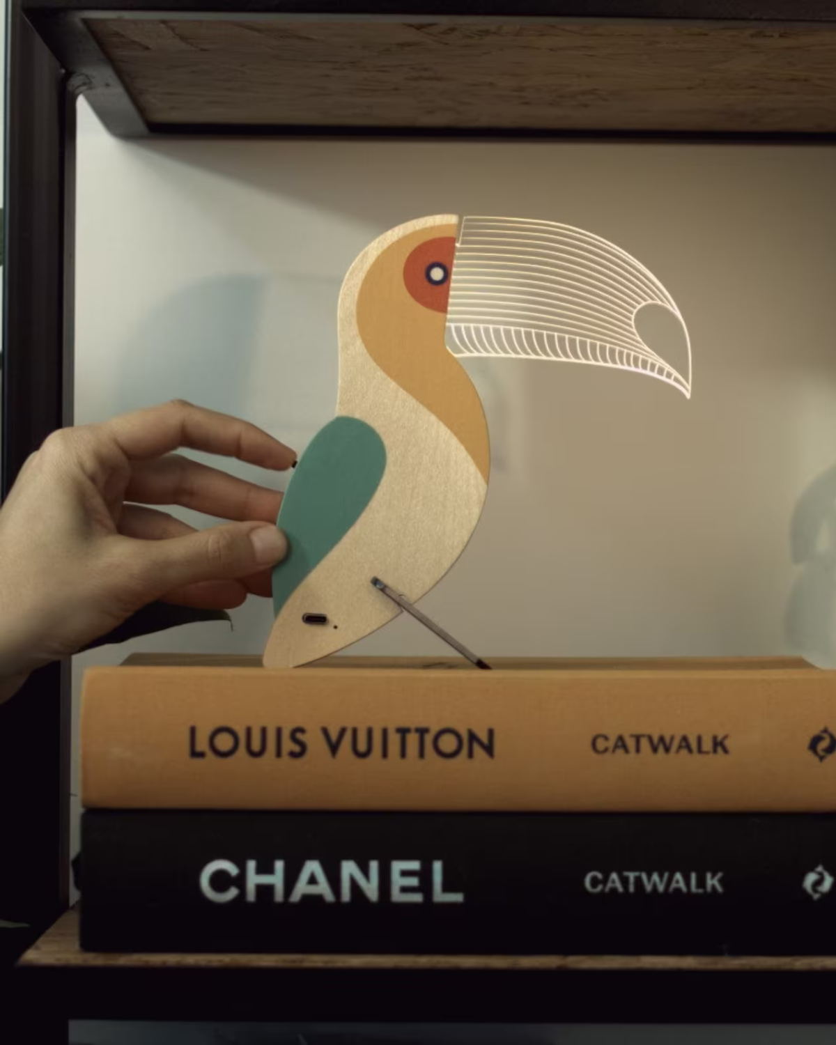 #style_toucan