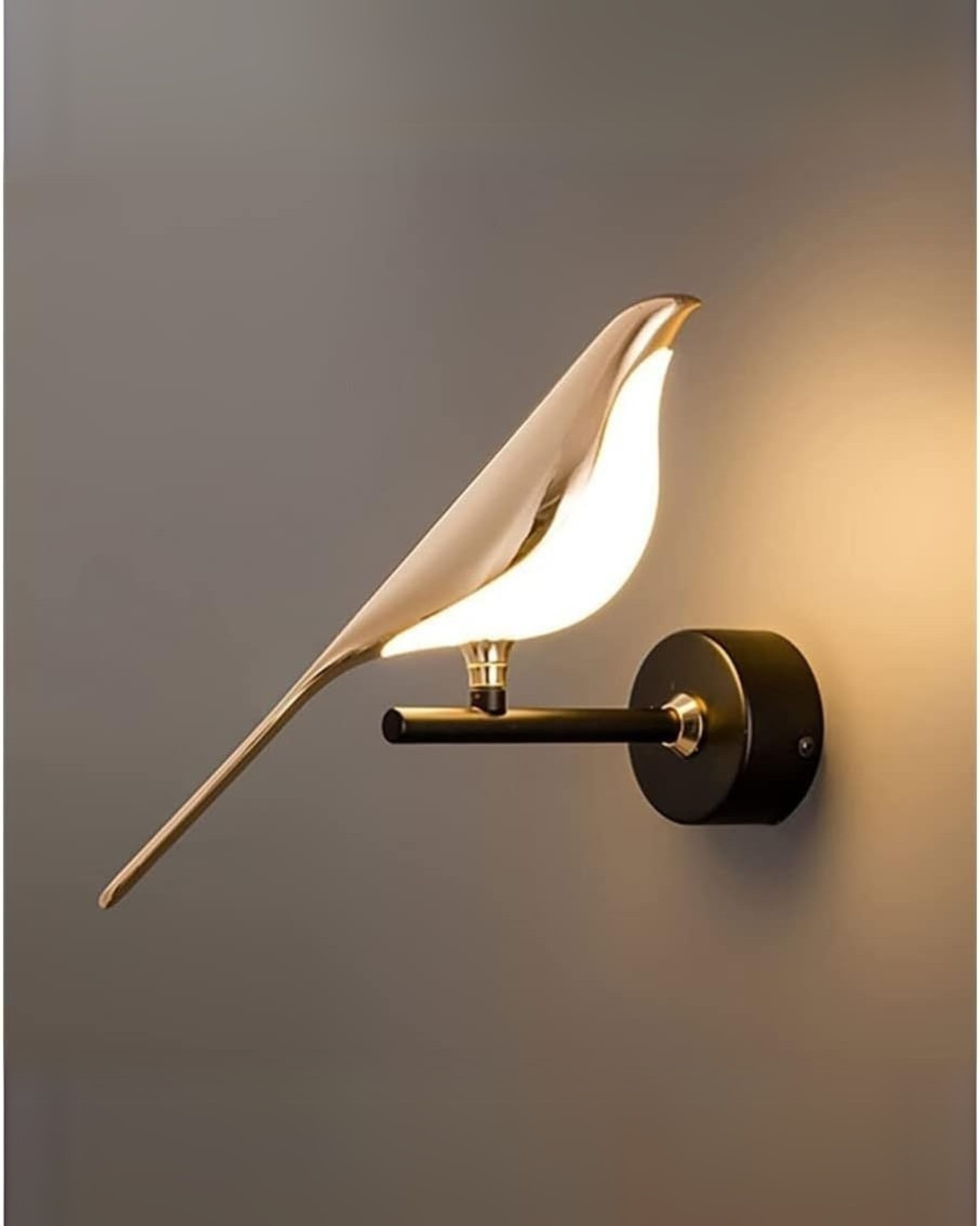 L’Oiseau Lumière