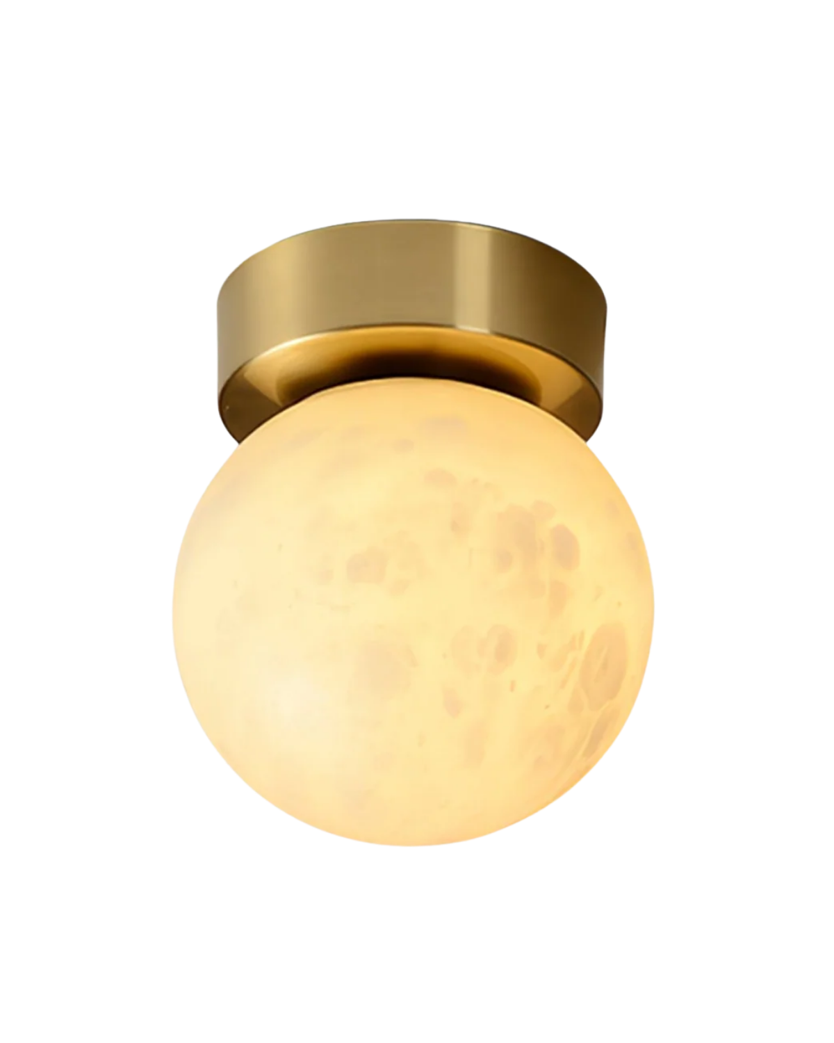 Le Nivalis