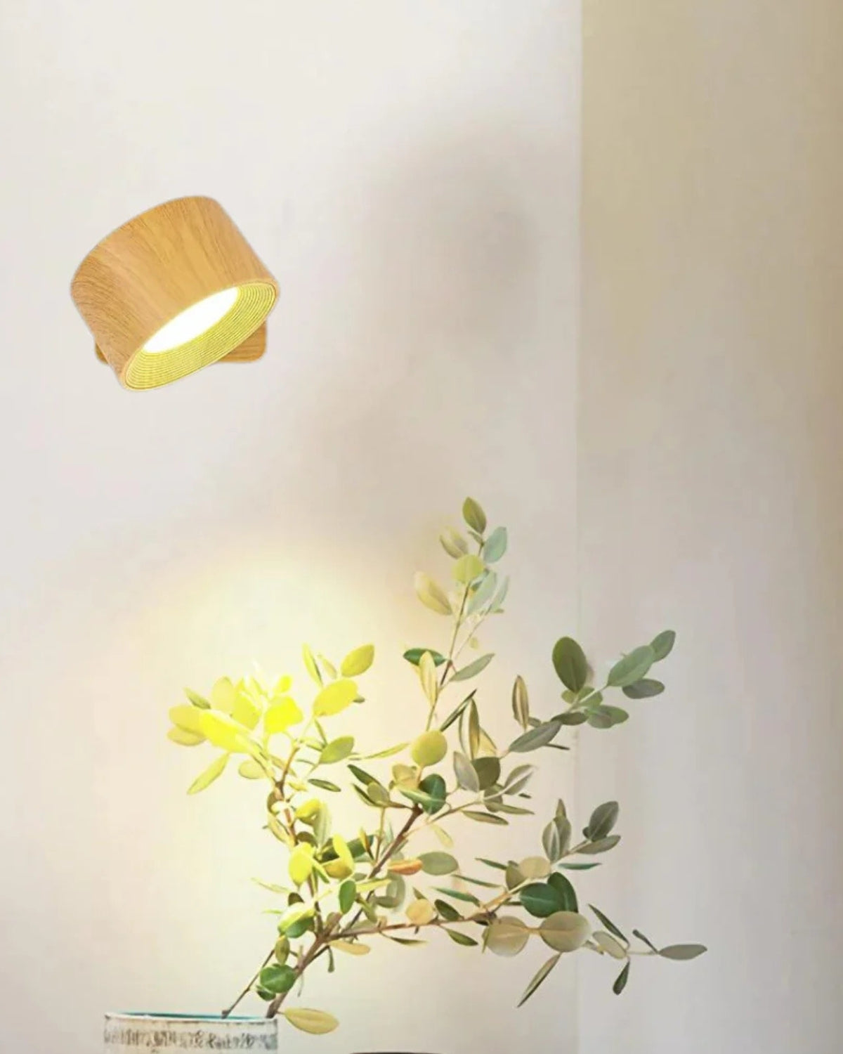 #Color_Wood