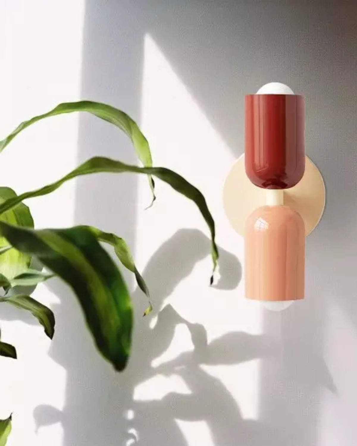 #color_crème