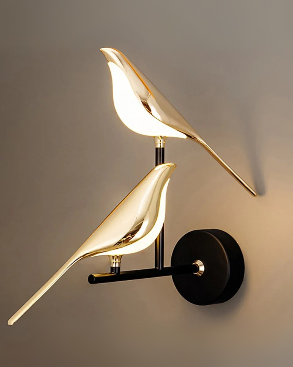 L’Oiseau Lumière