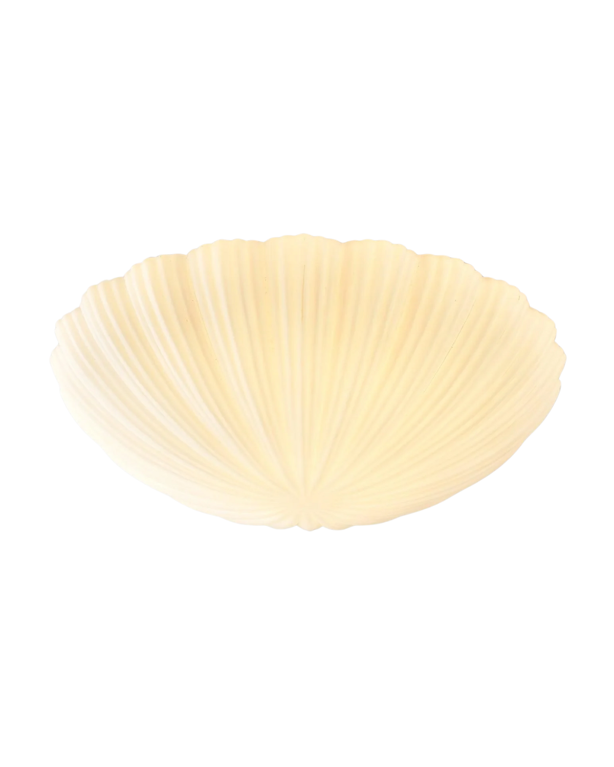 La Coquille