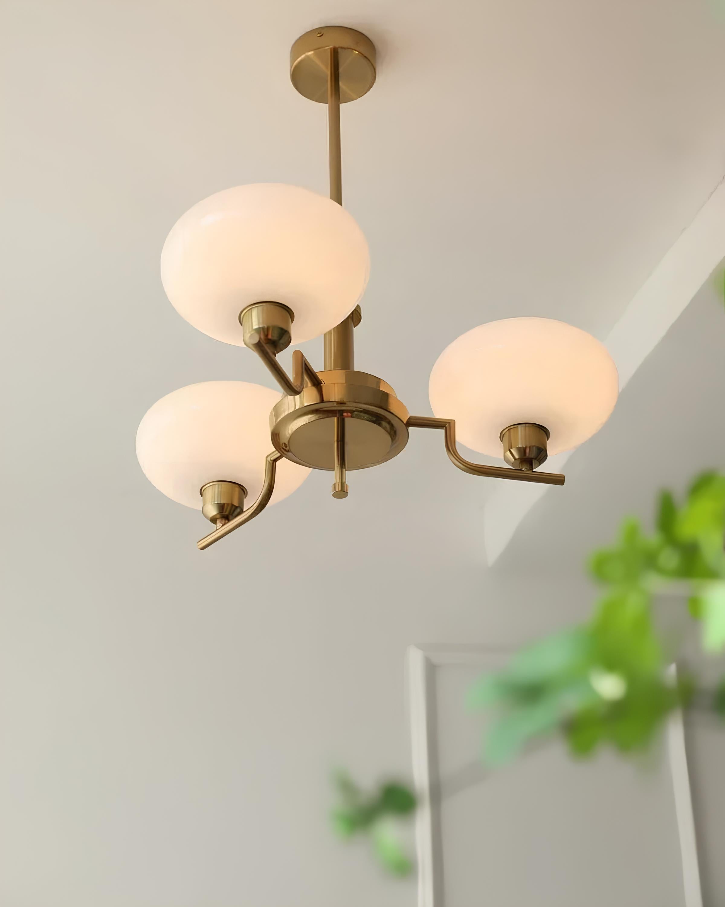 #color_gold beige