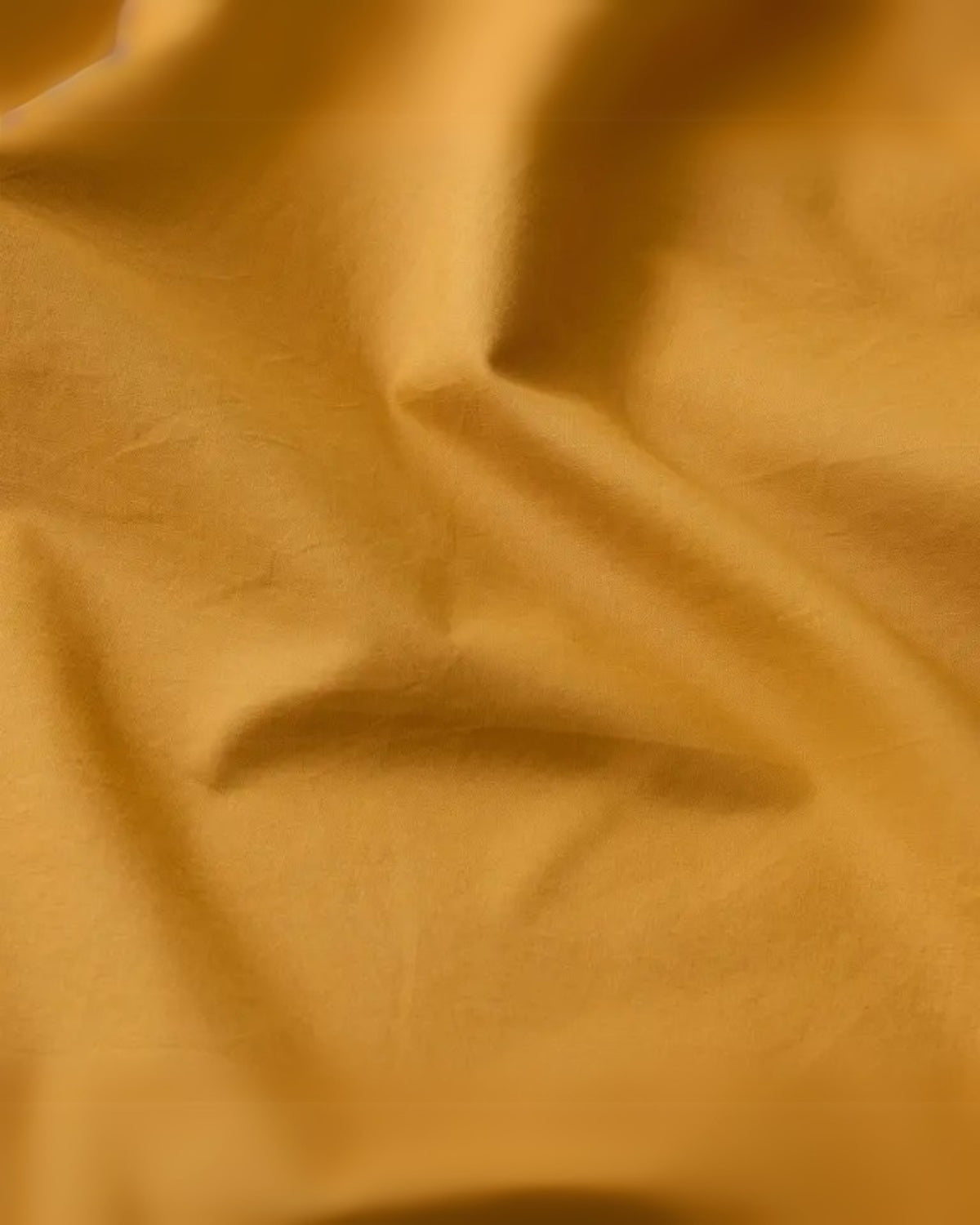 #color_Sage Orange