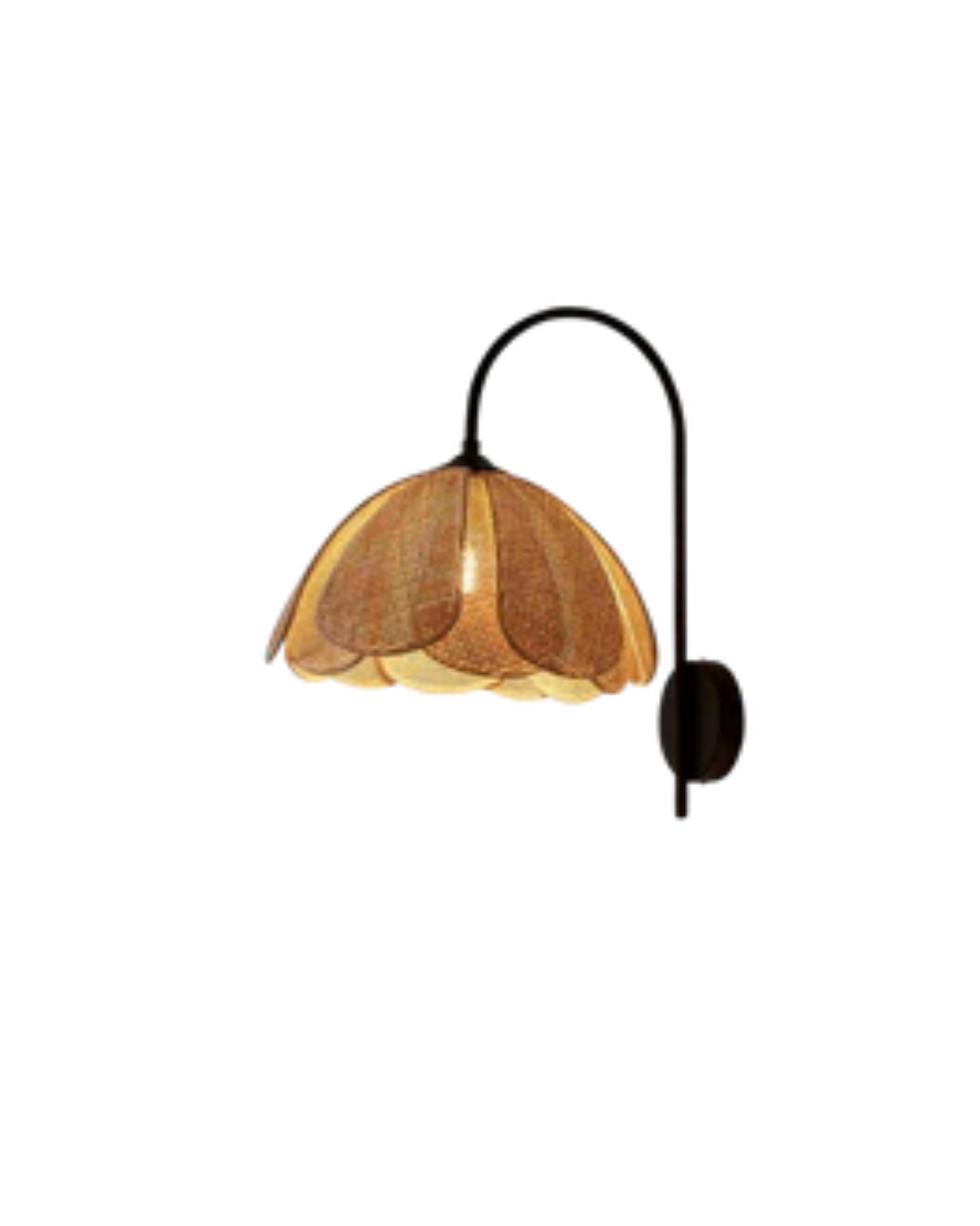 La Rosace Lumineuse