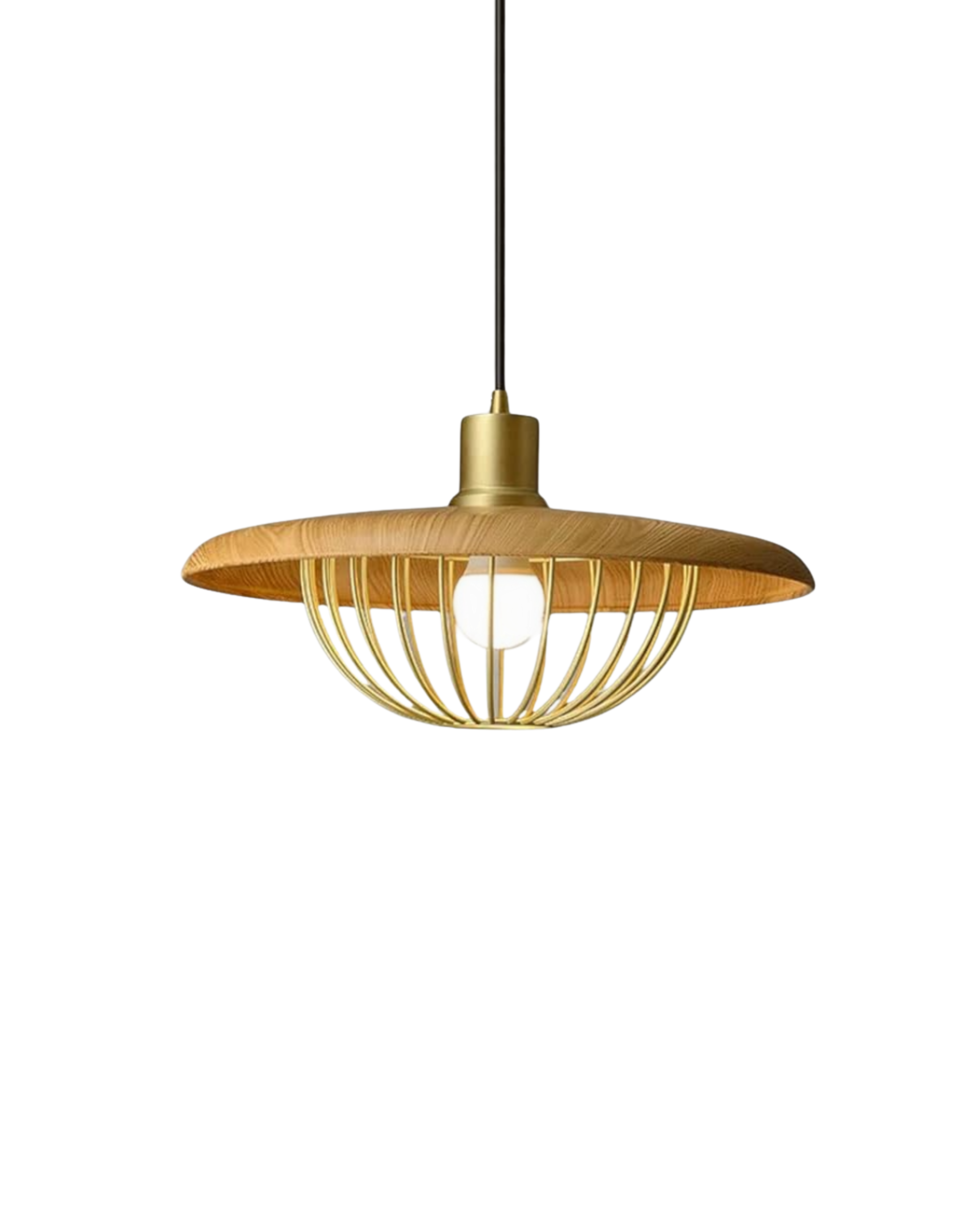 L'Envol de Lumière
