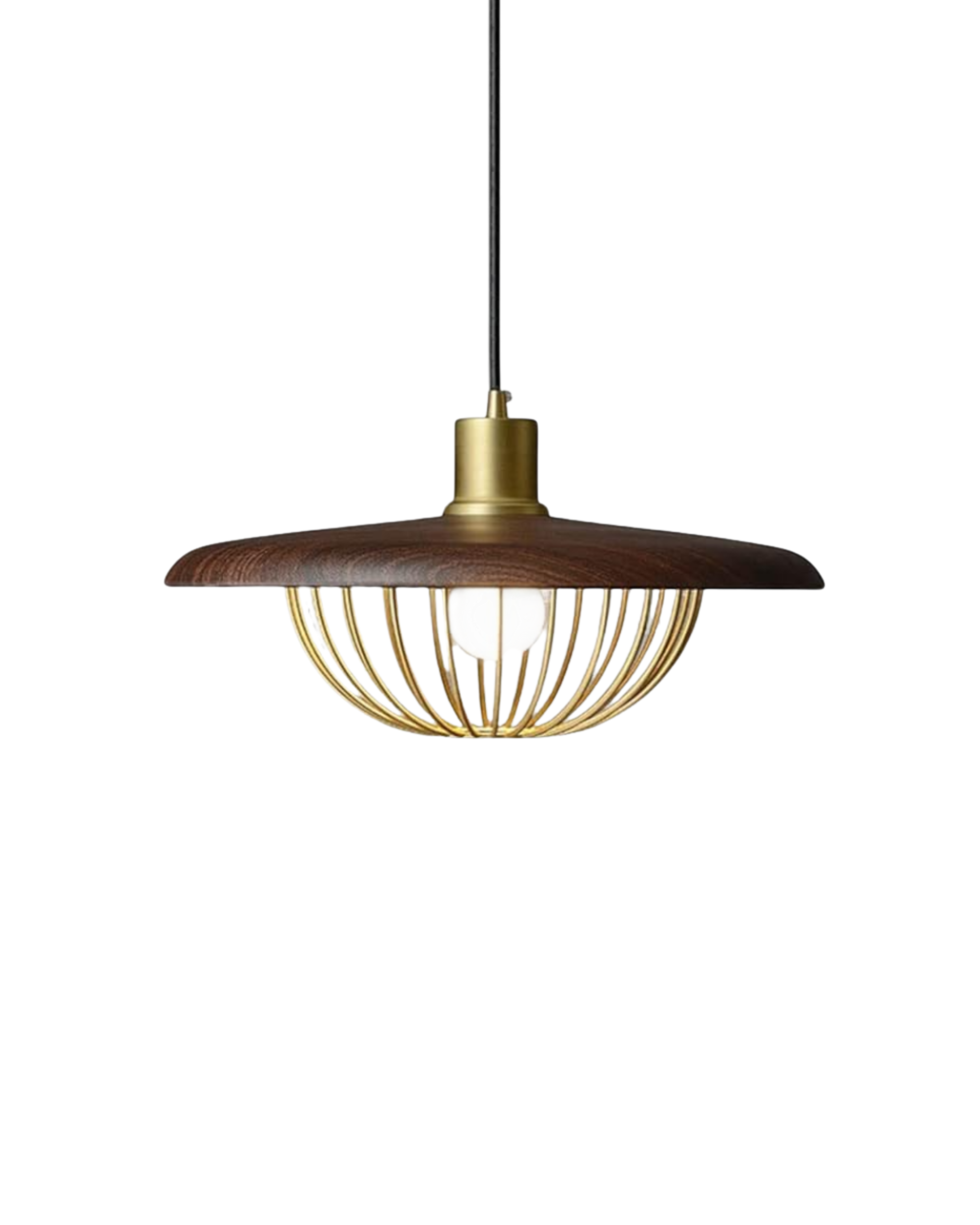 L'Envol de Lumière