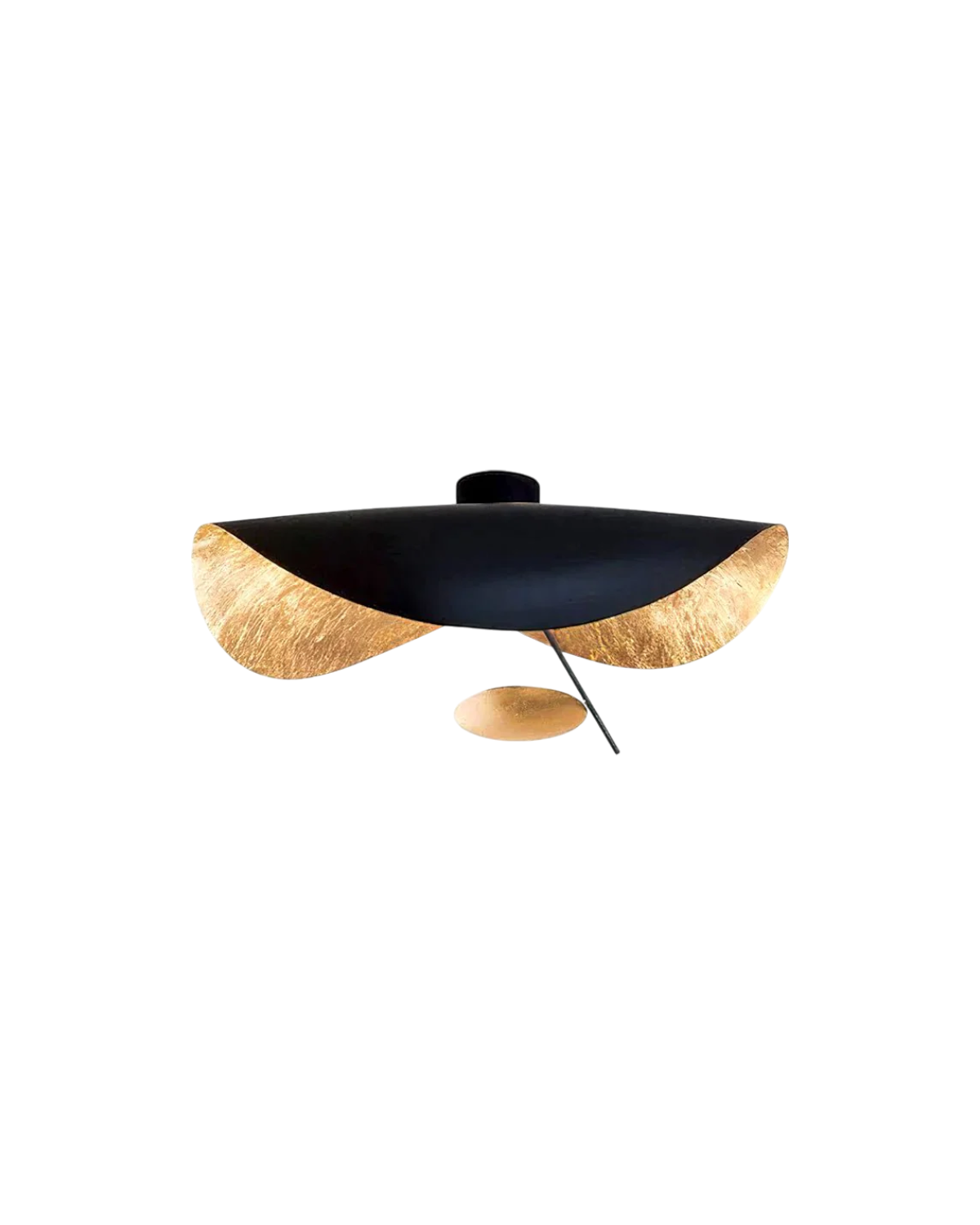 #color_black-gold