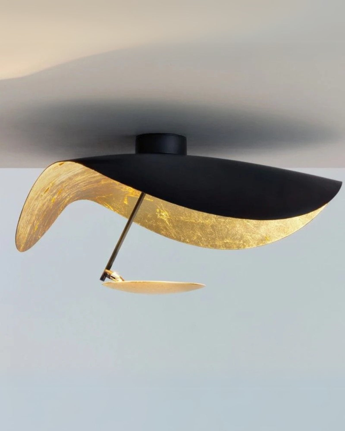 #color_black-gold