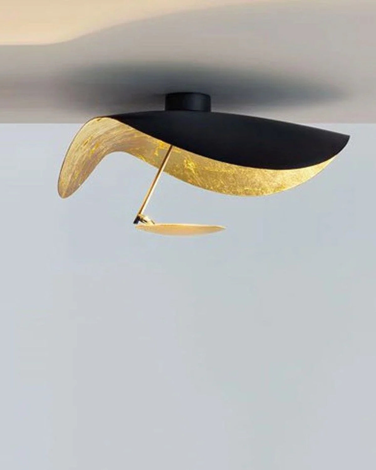 #color_black-gold