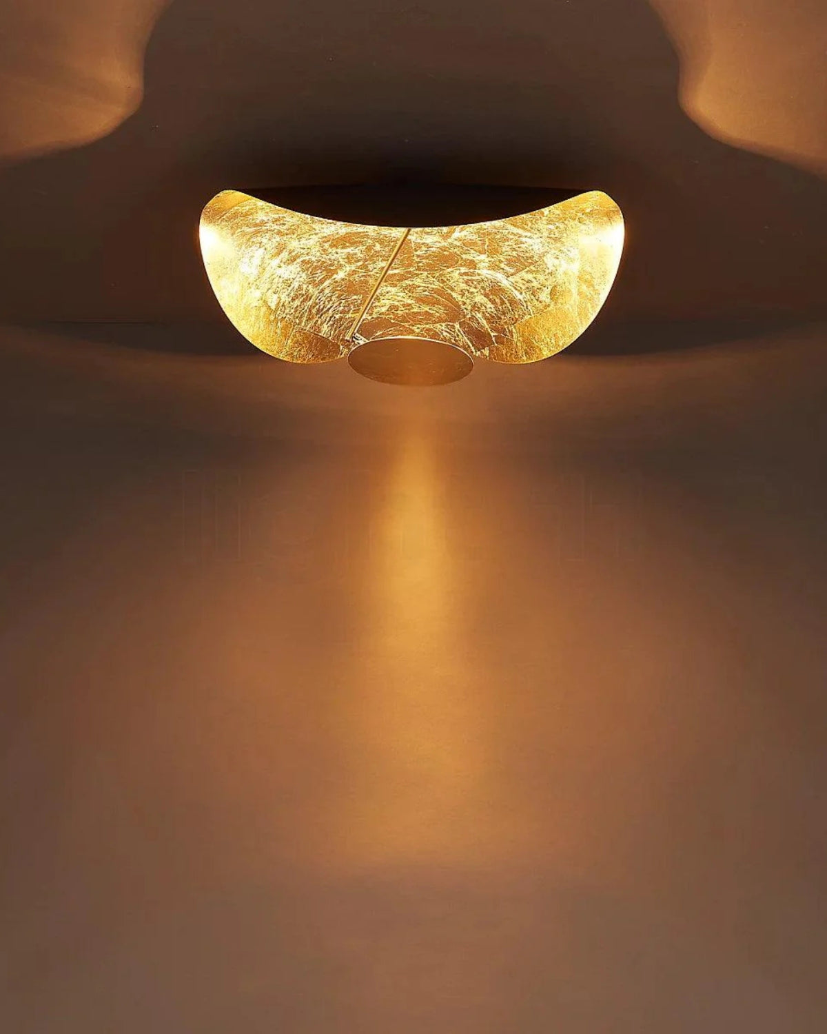#color_black-gold