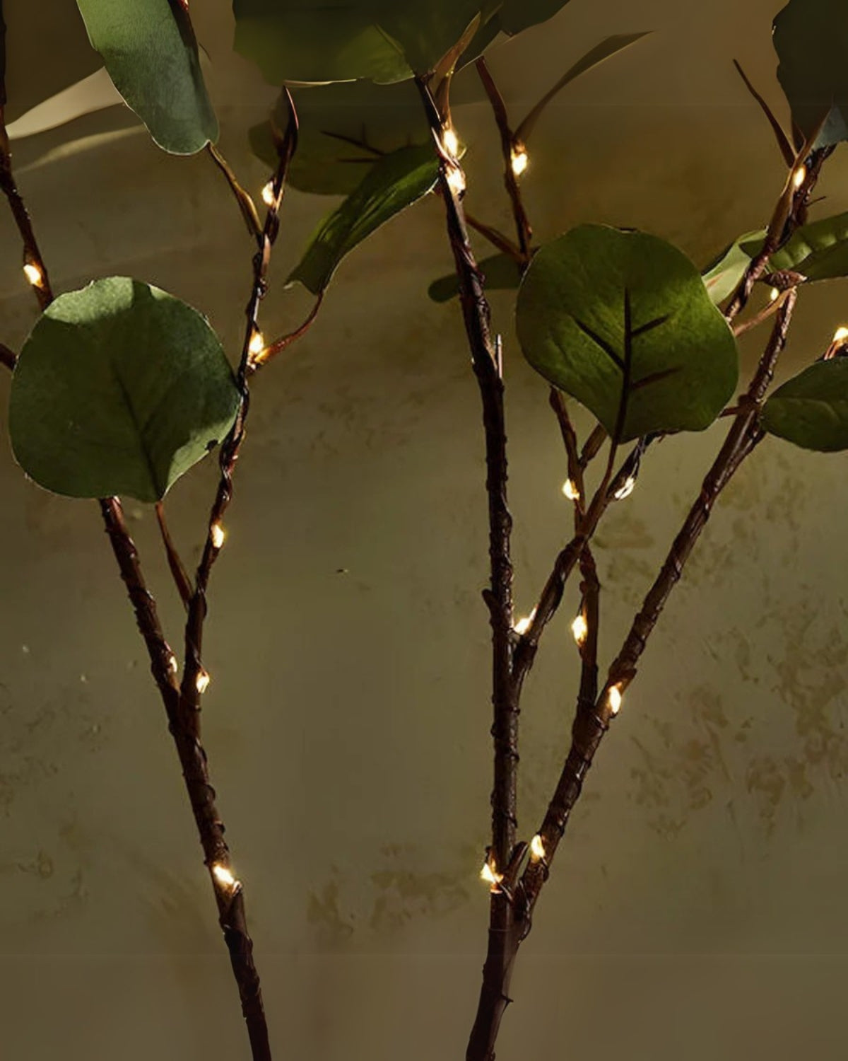 #Style_Olive Leaf
