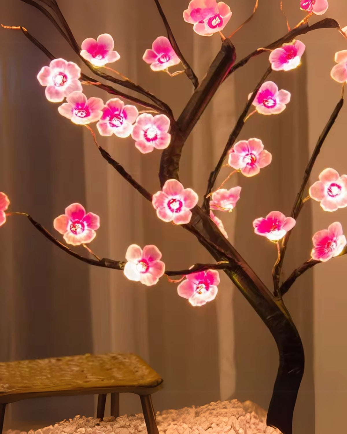 #Style_Plum Blossom