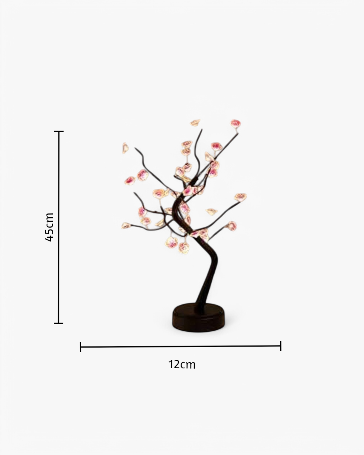 #Style_Plum Blossom
