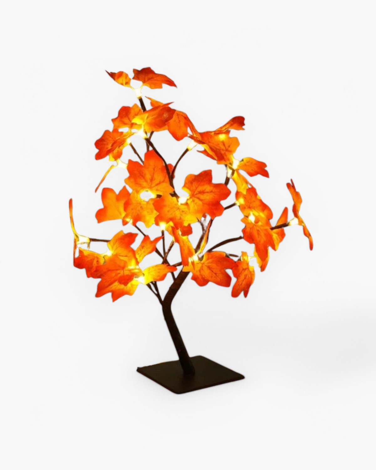 #Style_Maple Leaf