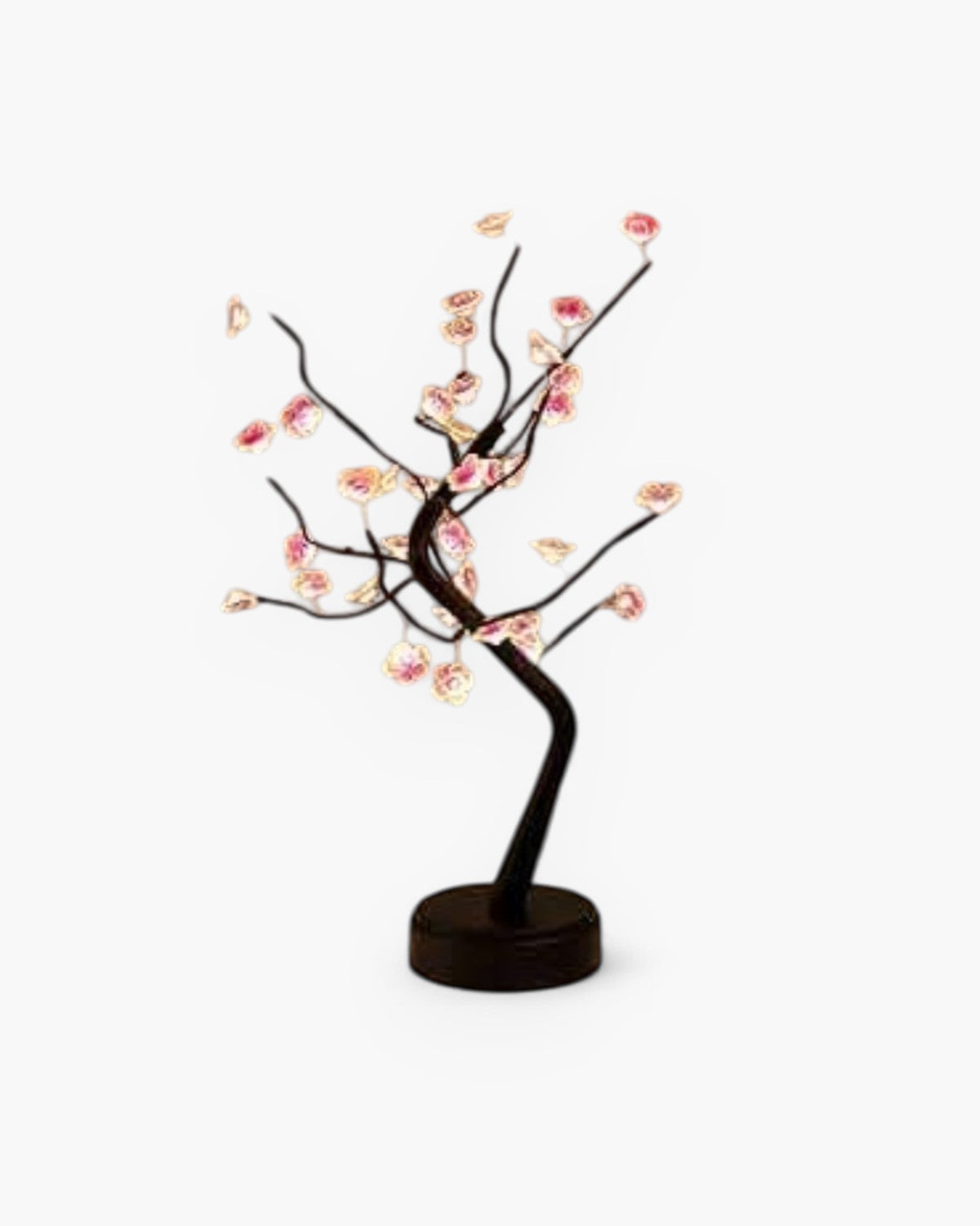 #Style_Plum Blossom