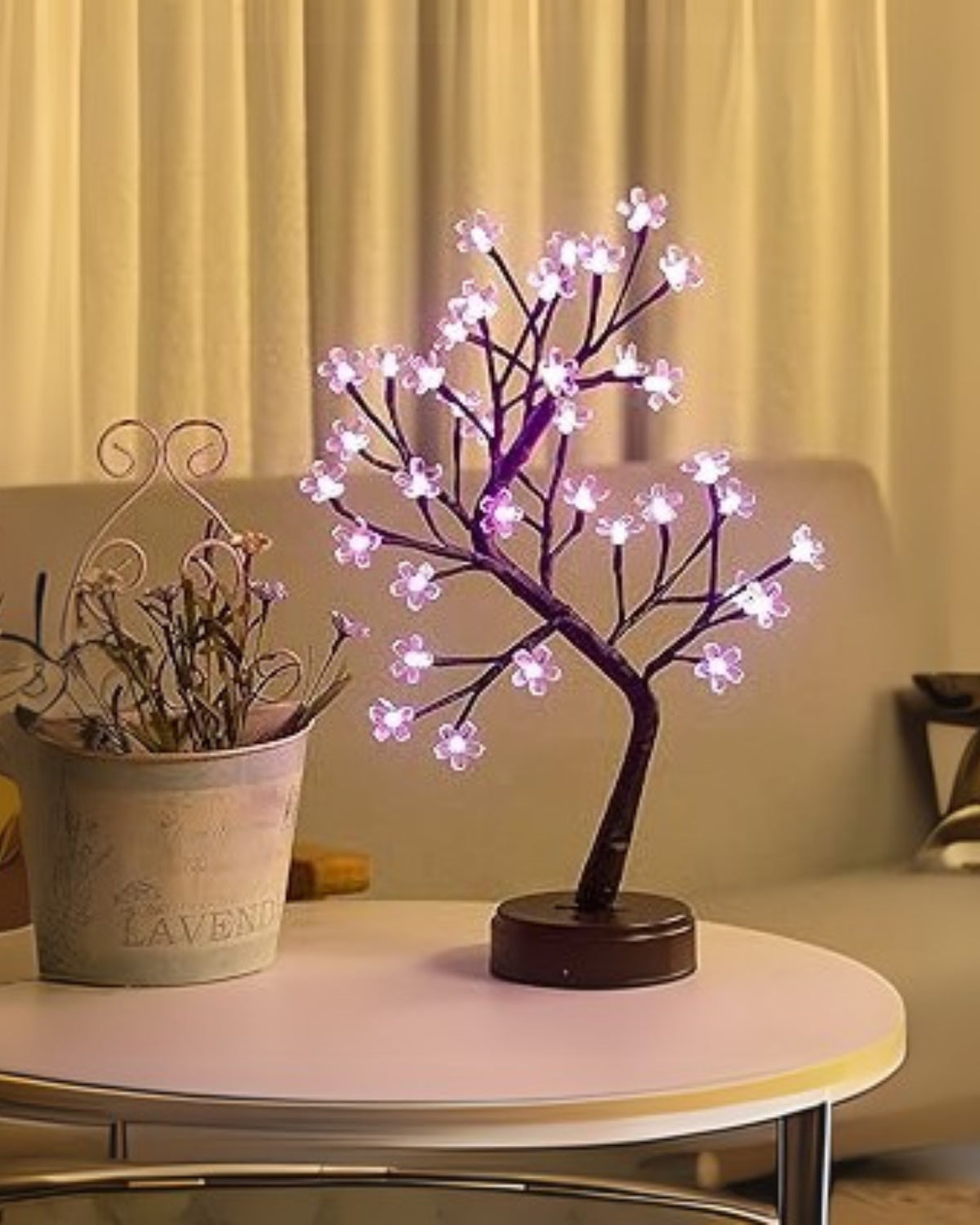 #Style_Plum Blossom