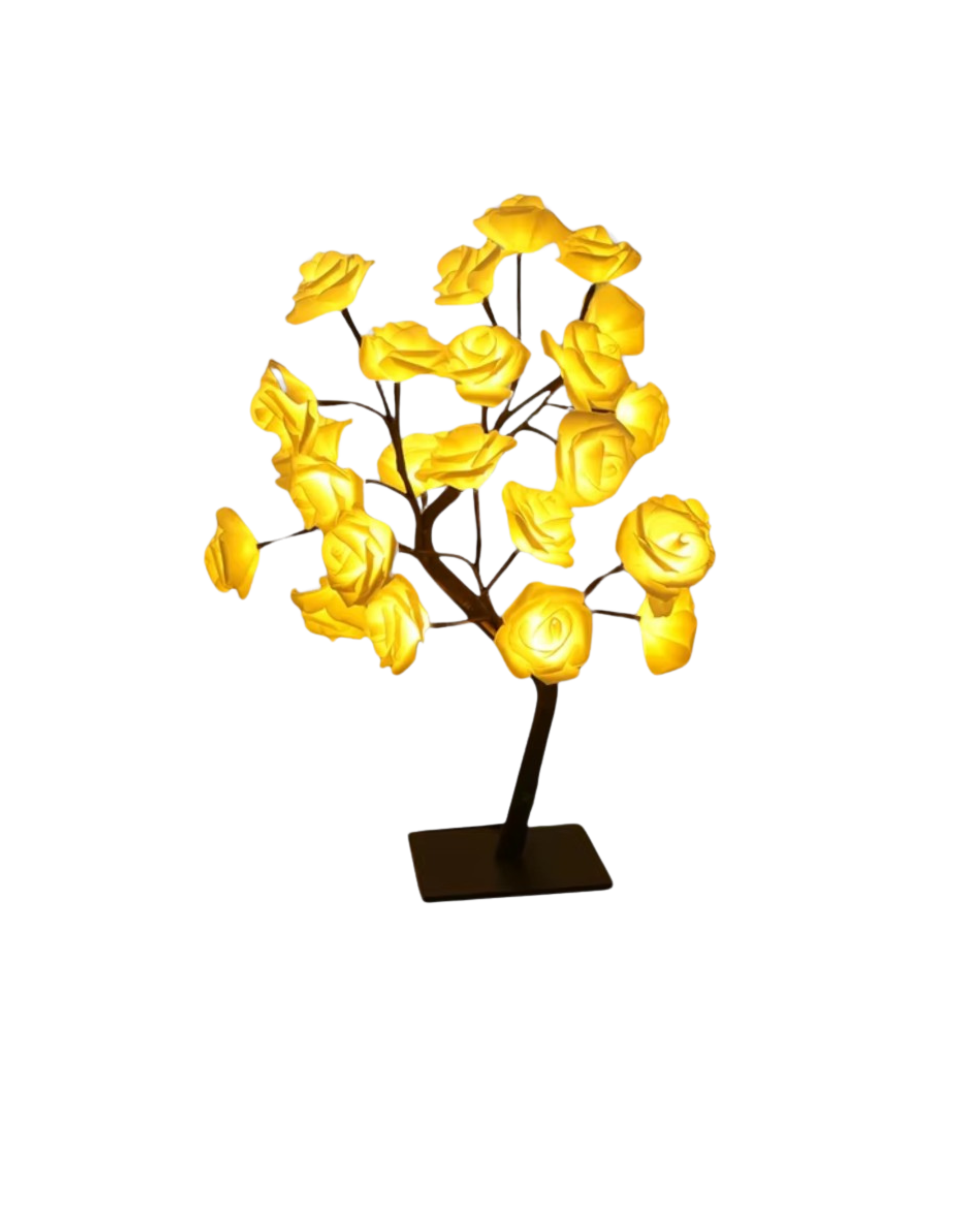 Le Rosier Lumineux