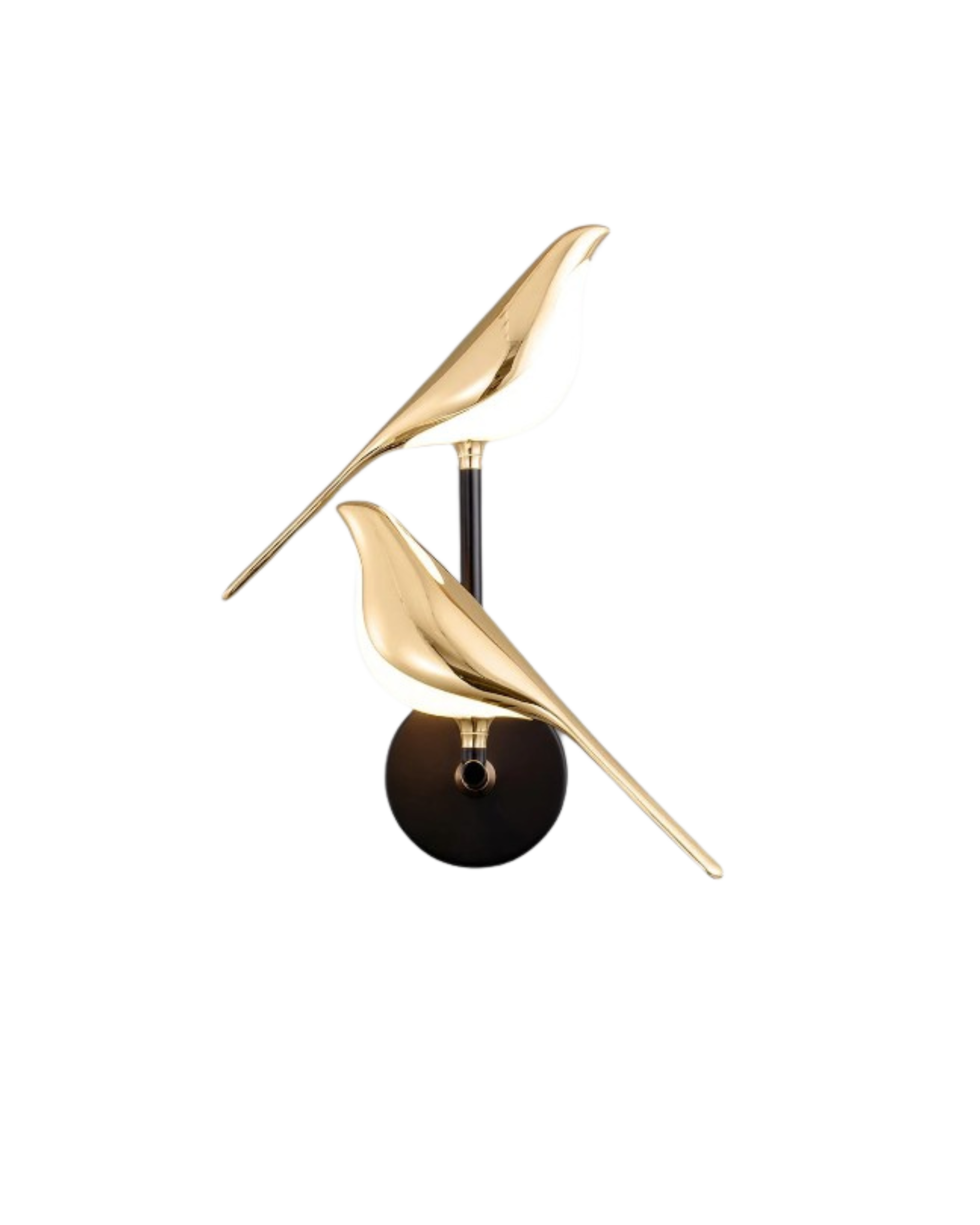 Le Cygne
