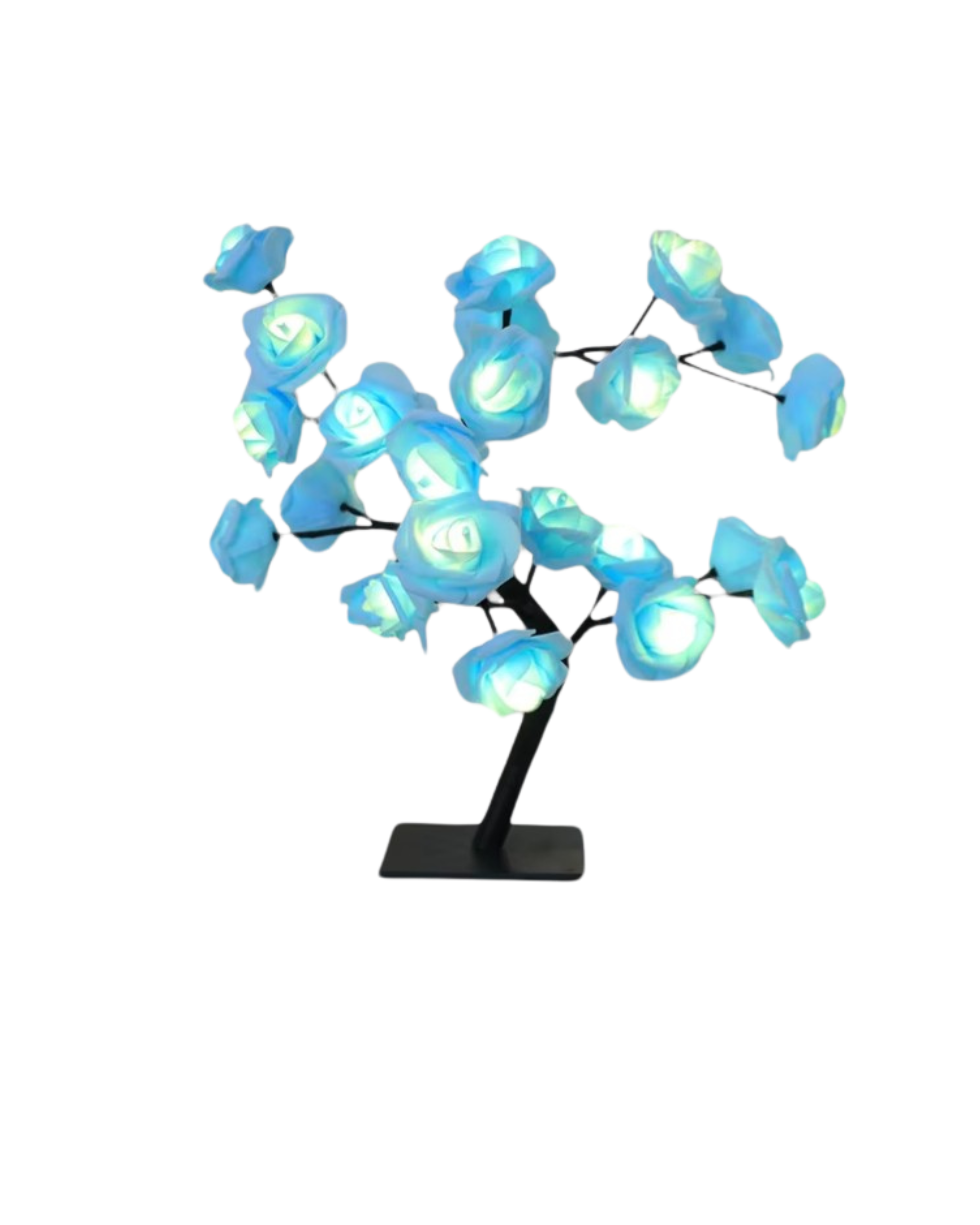Le Rosier Lumineux