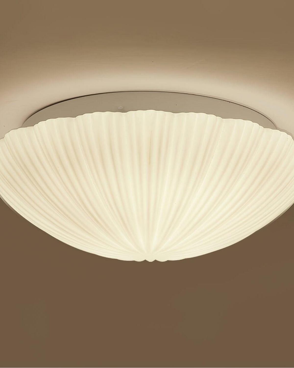 La Coquille