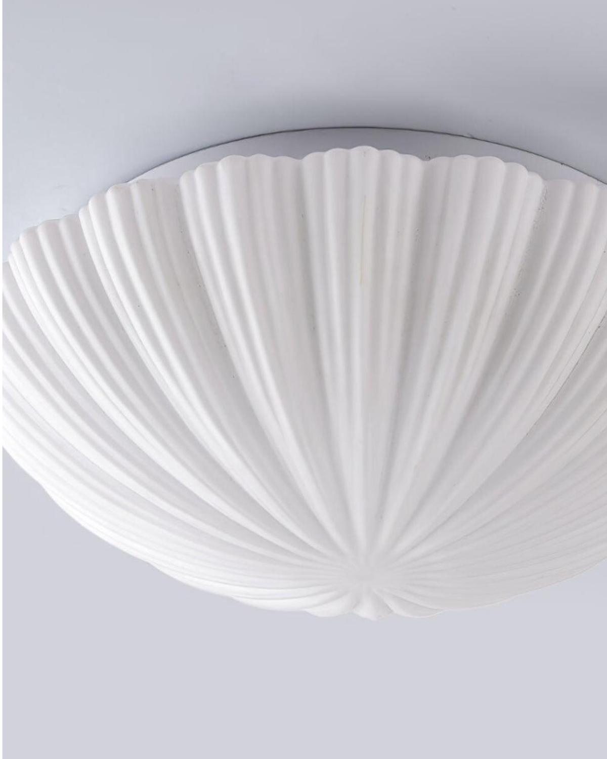 La Coquille