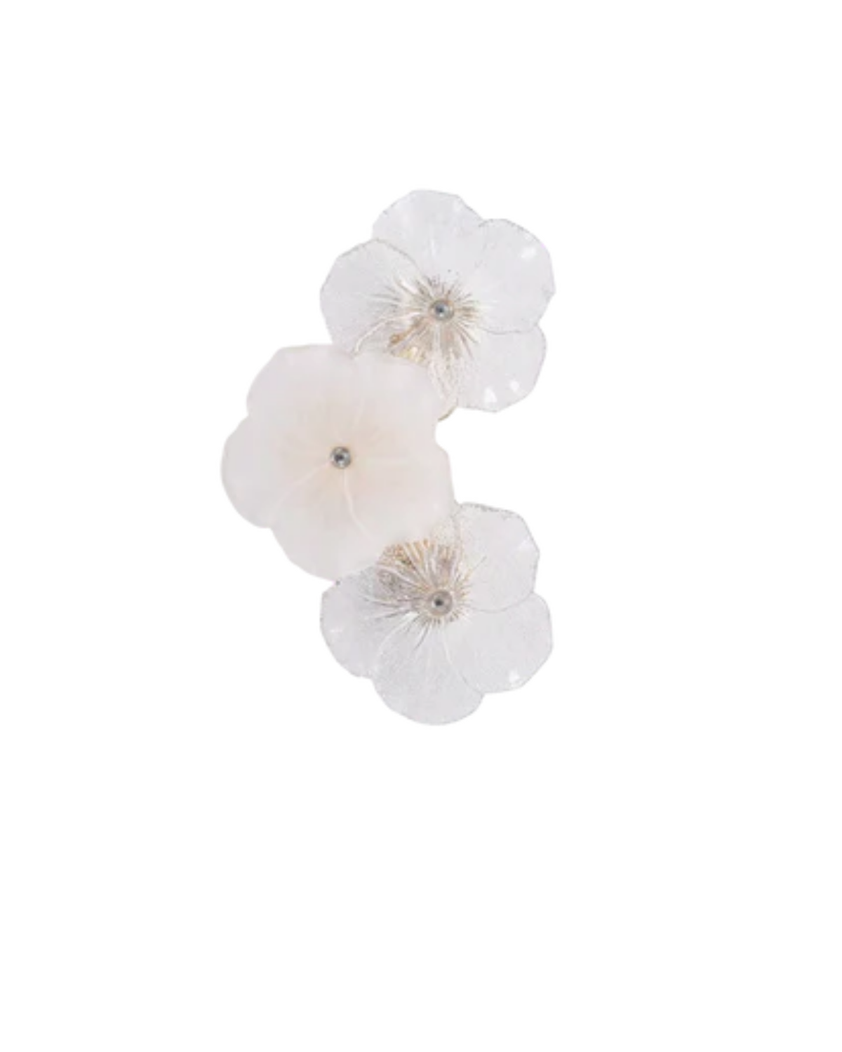 La Floraison Étoilée