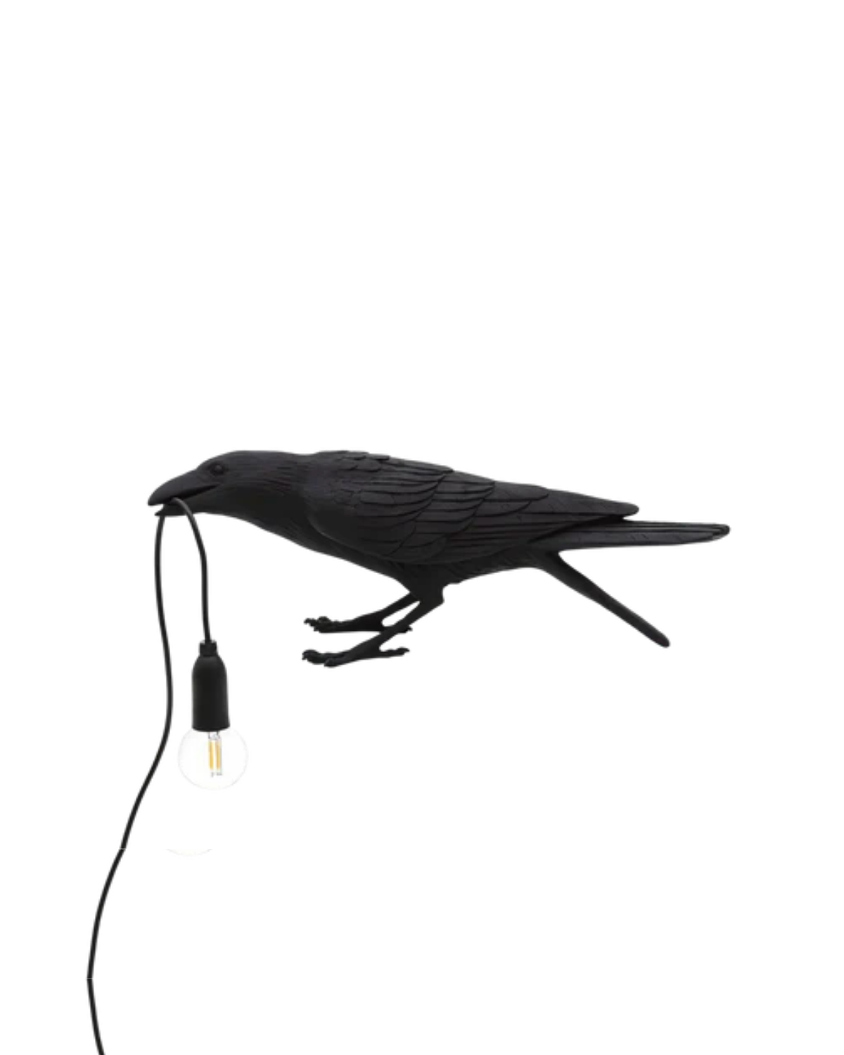 La Nuit du Corbeau