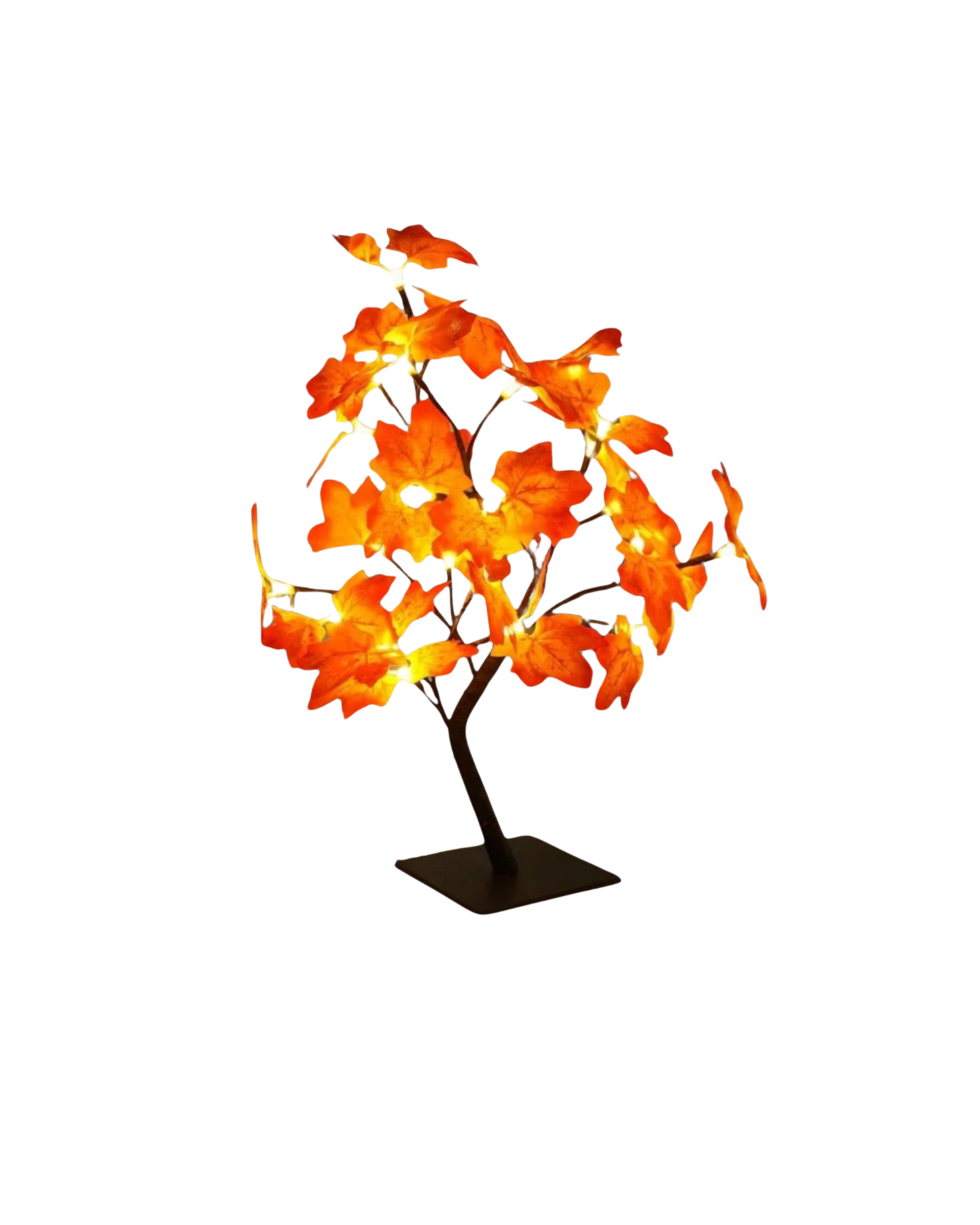 La Fleur Éclatante